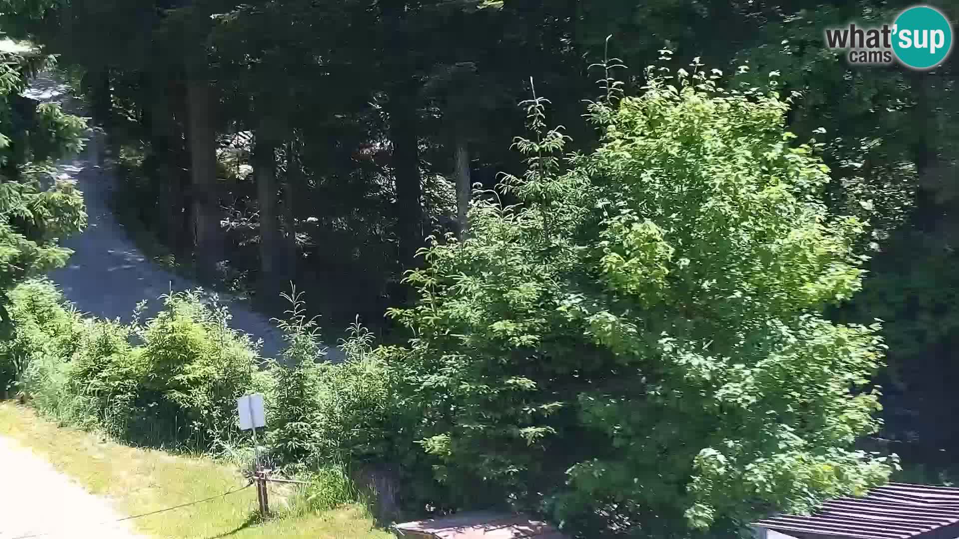 Livecam Rogla apartments Dandi – Jurgovo
