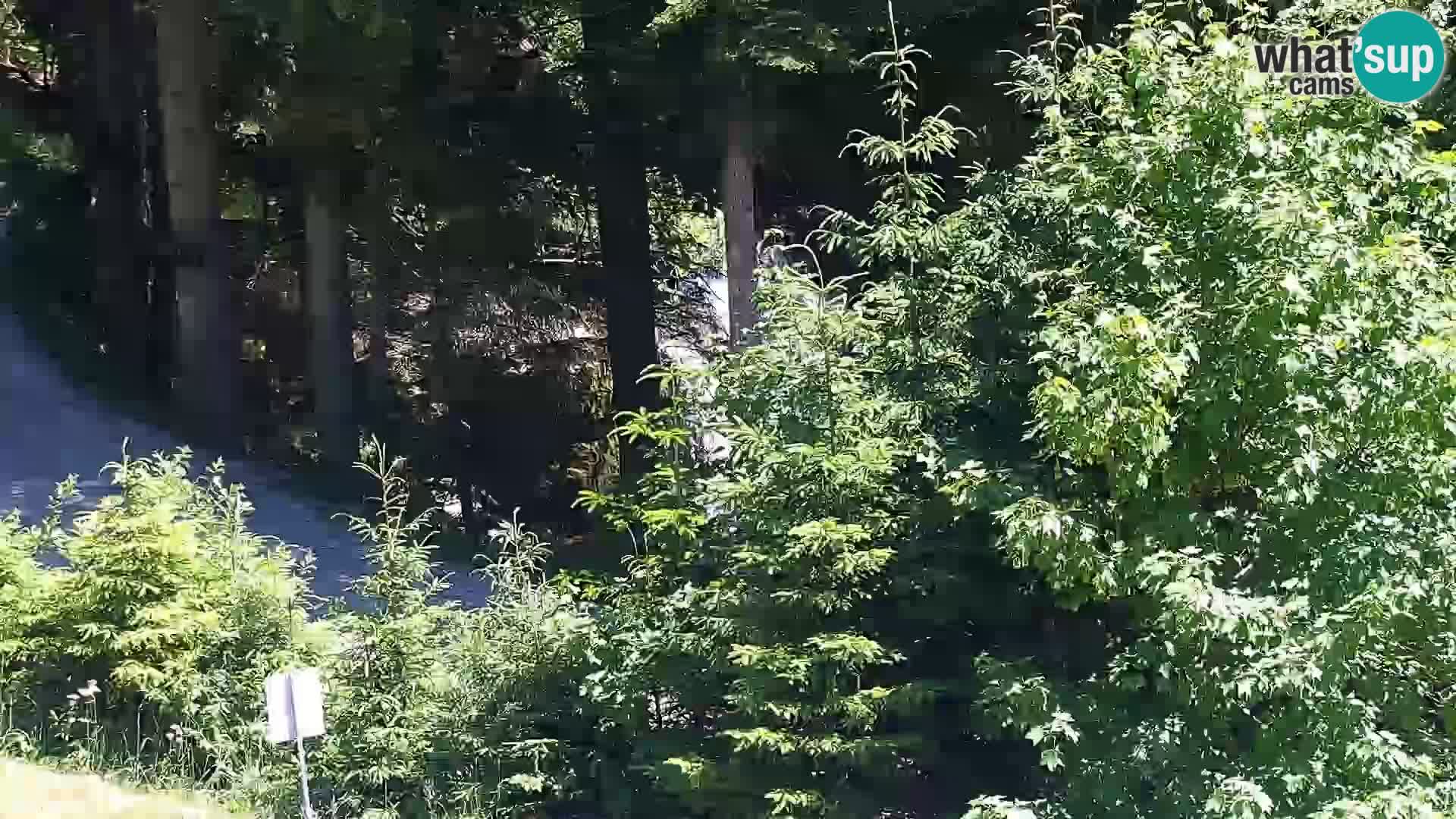 Live webcam Rogla appartamenti Dandi – Jurgovo