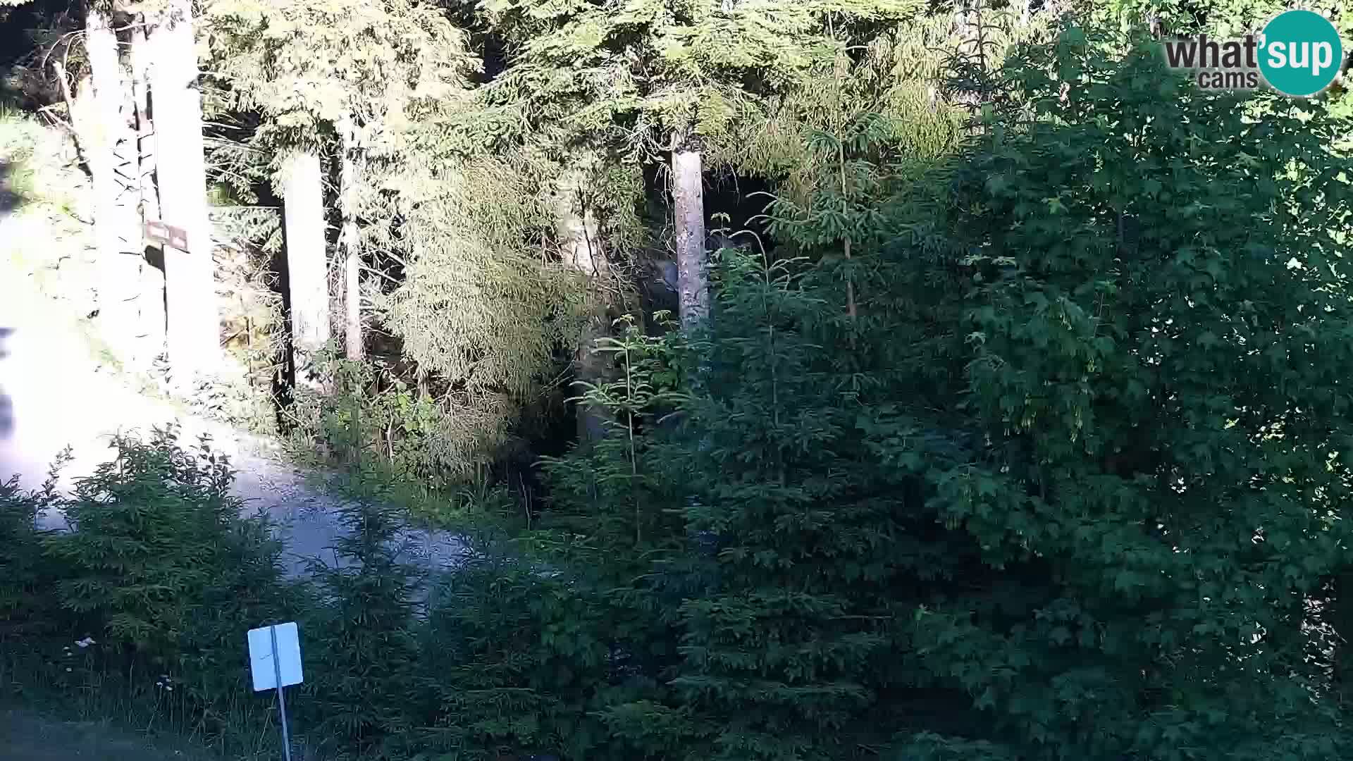 Webcam Rogla Wohnungen Dandi – Jurgovo