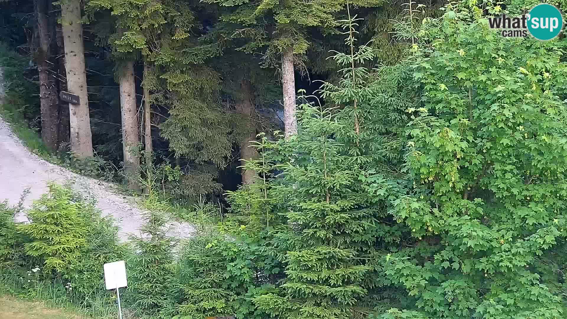 Webcam Rogla Wohnungen Dandi – Jurgovo