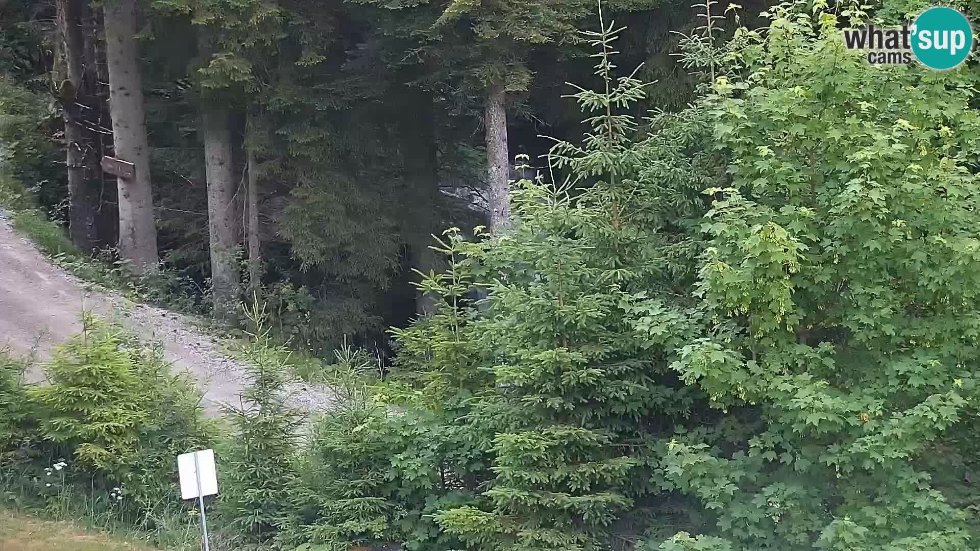 Live Rogla appartements Dandi – Jurgovo