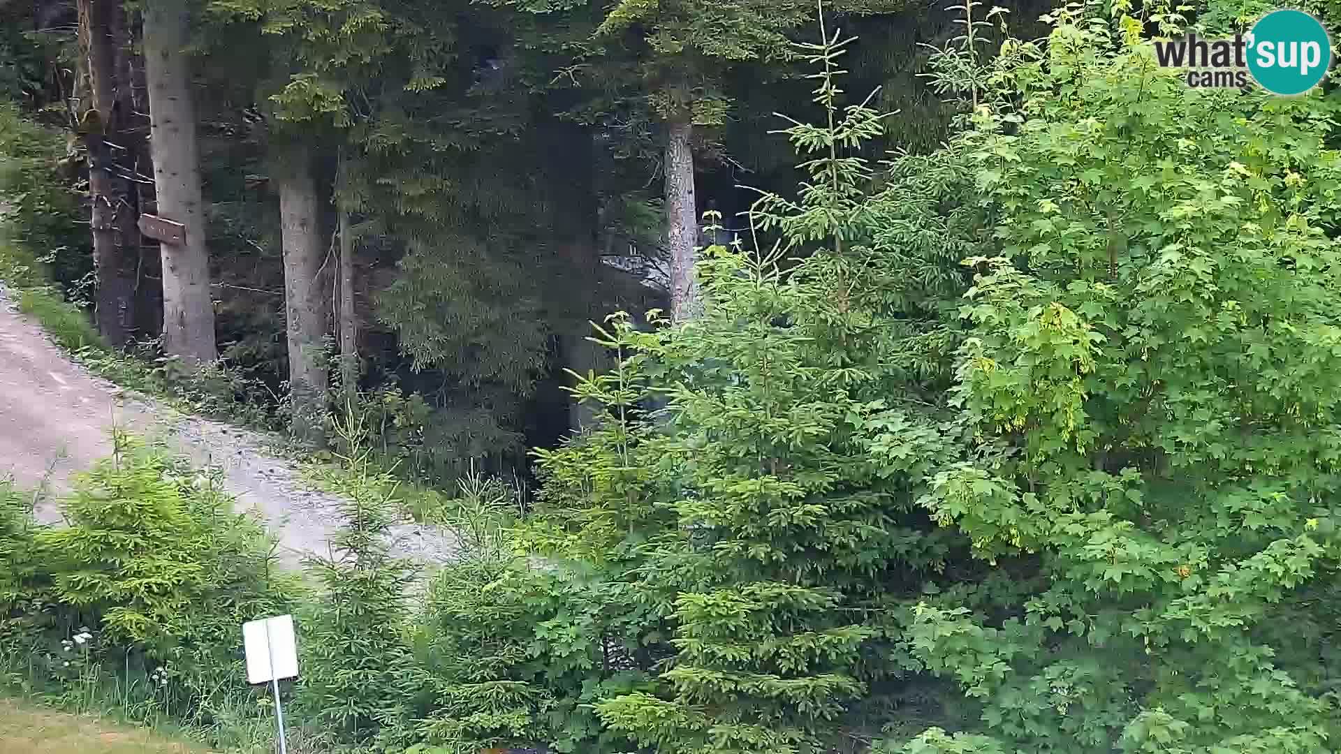 Livecam Rogla apartments Dandi – Jurgovo