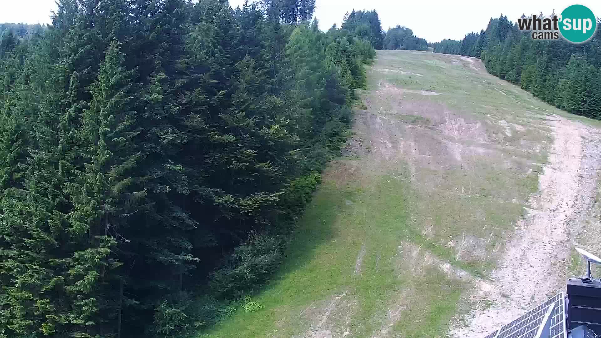 Web kamera Rogla apartmani Dandi – Jurgovo