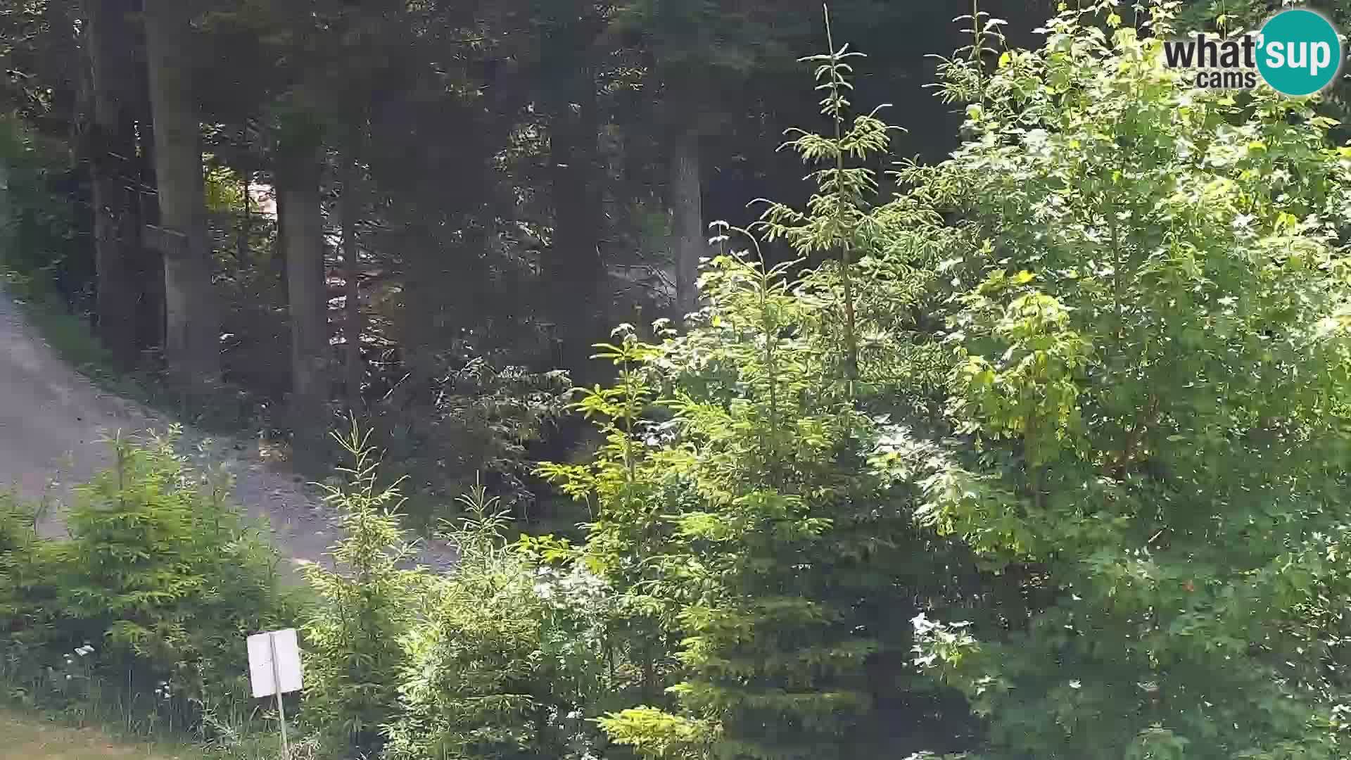 Live webcam Rogla appartamenti Dandi – Jurgovo