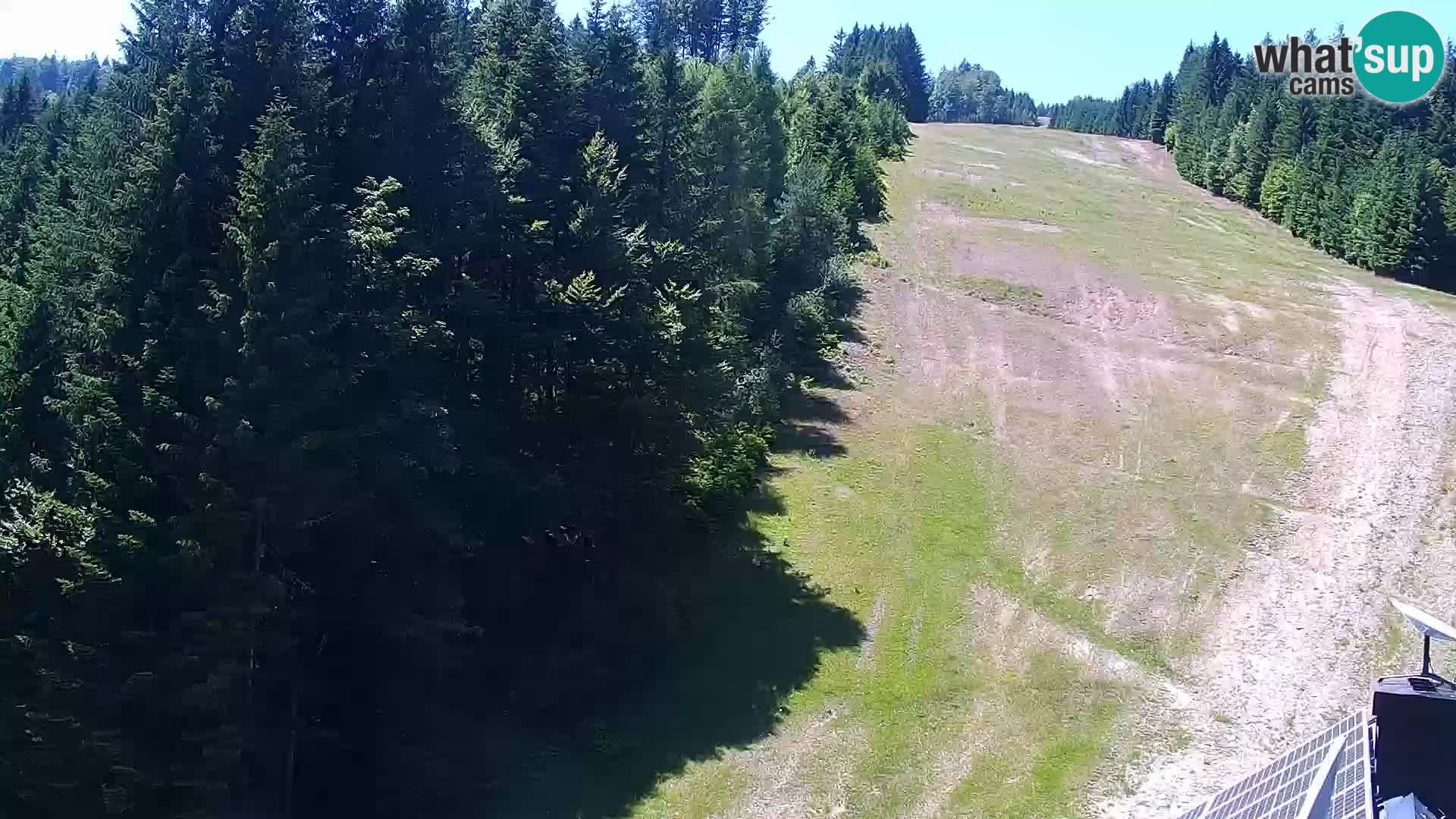 Live Rogla appartements Dandi – Jurgovo
