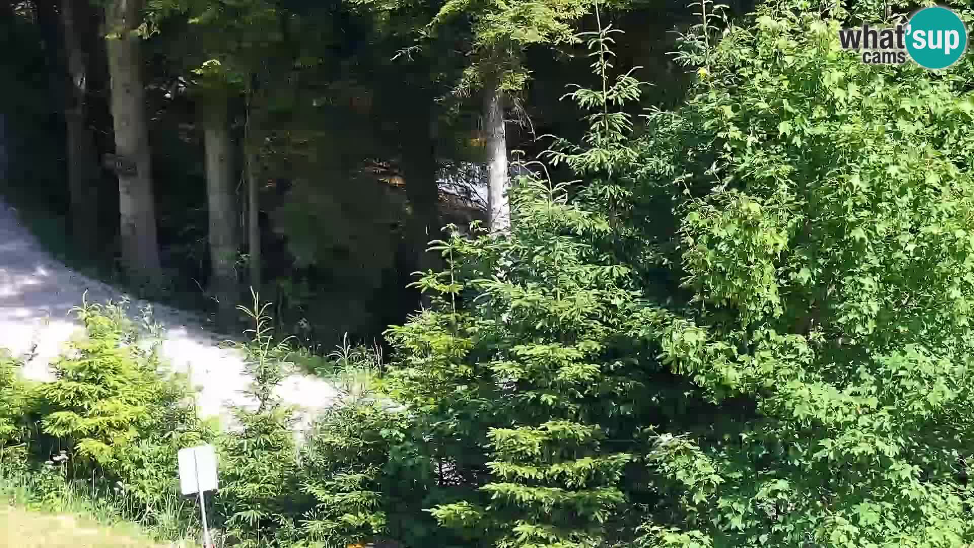 Livecam Rogla apartments Dandi – Jurgovo