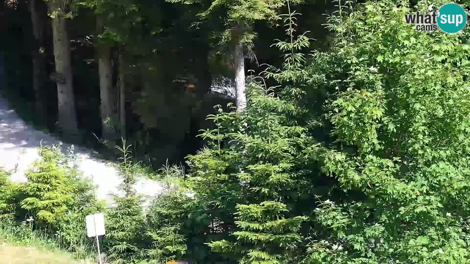 Camera en vivo Rogla appartamentos Dandi – Jurgovo