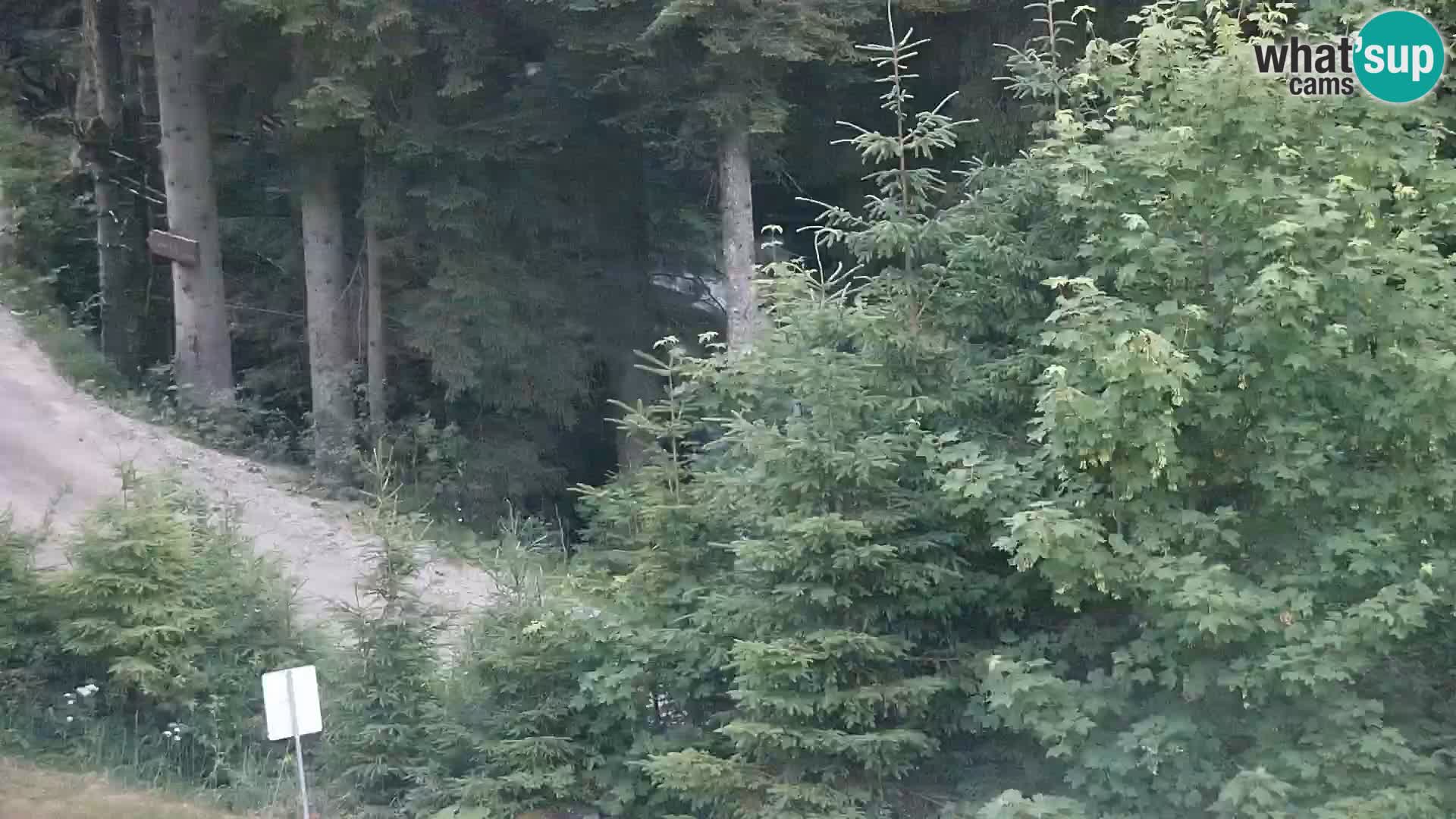 Livecam Rogla apartments Dandi – Jurgovo
