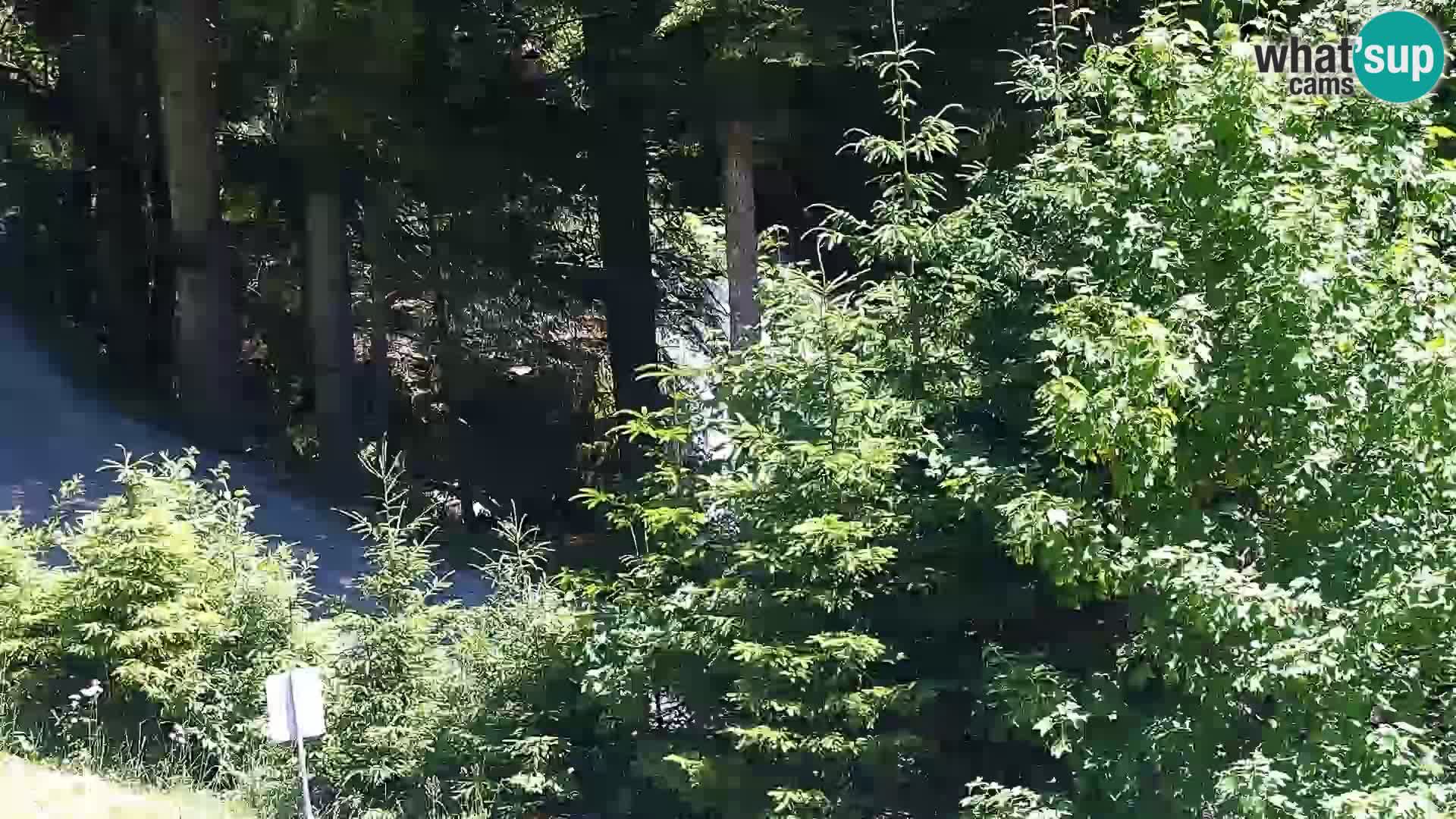 Webcam Rogla Wohnungen Dandi – Jurgovo