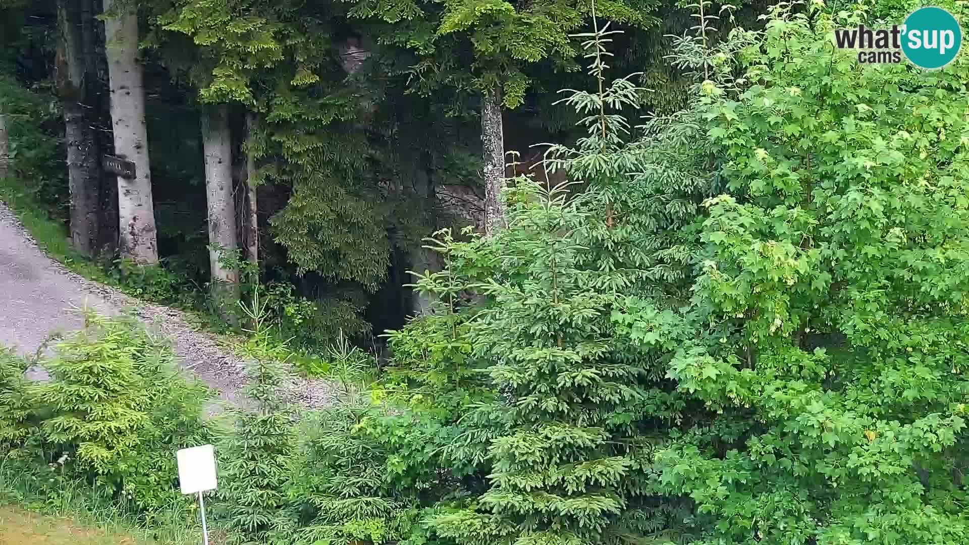 Livecam Rogla apartments Dandi – Jurgovo