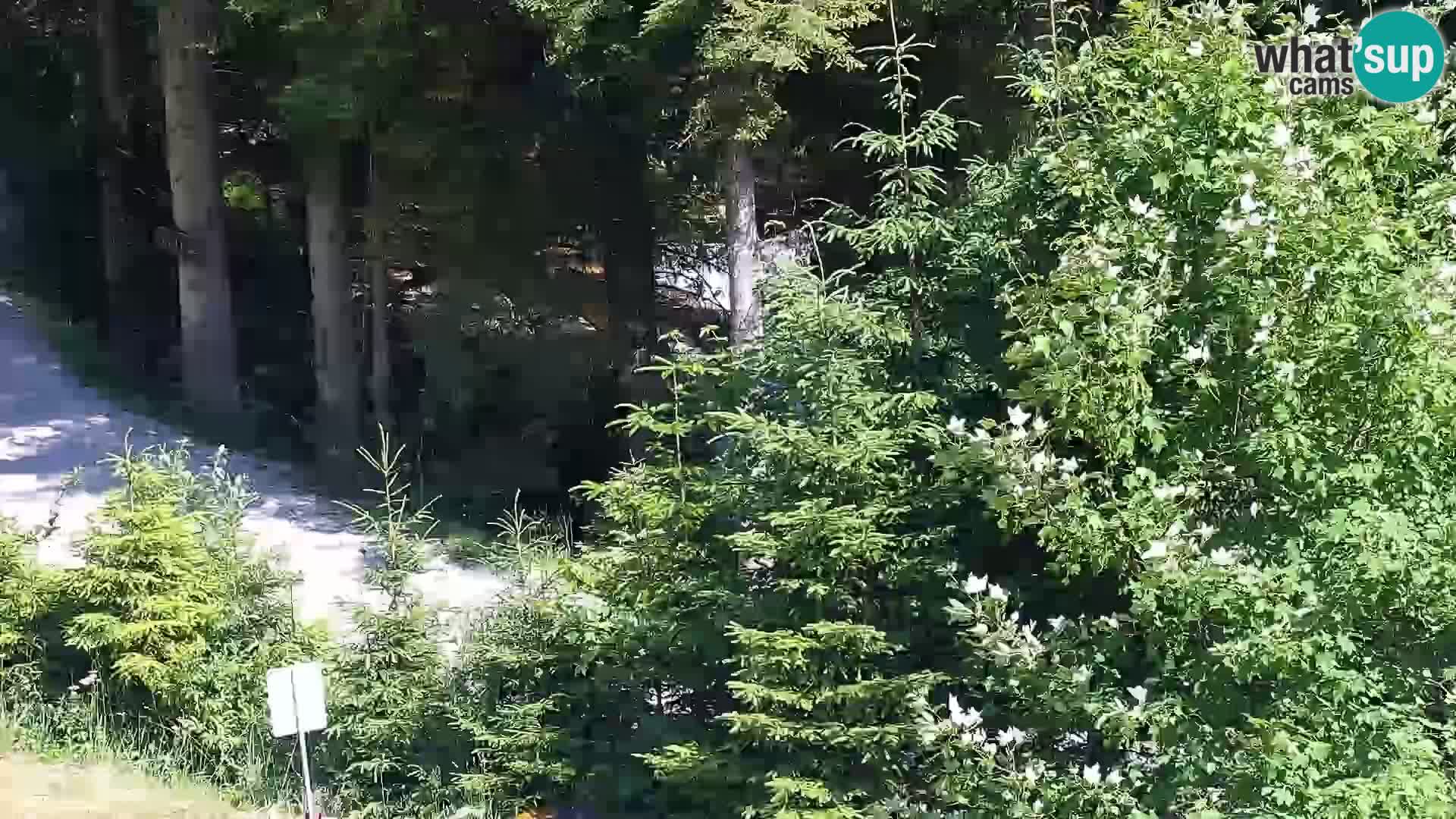 Livecam Rogla apartments Dandi – Jurgovo