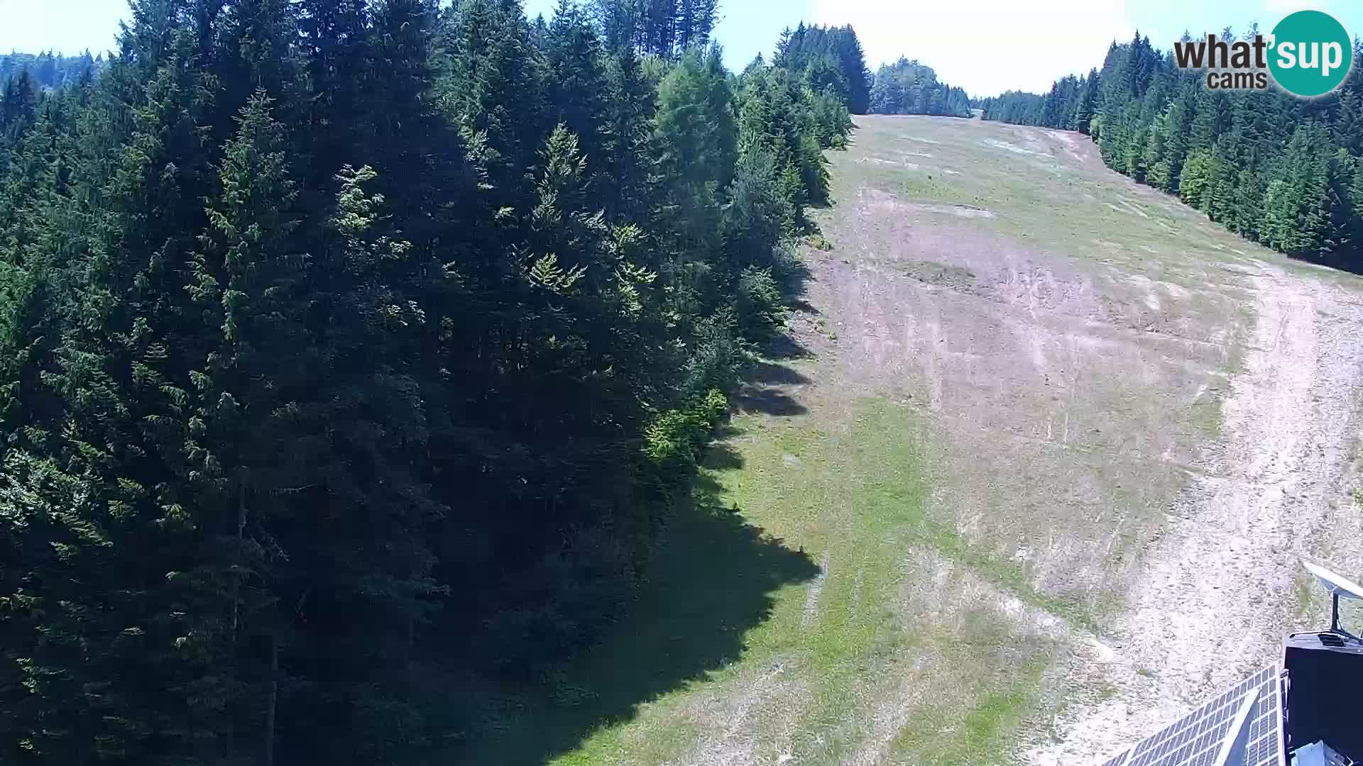 Live Rogla appartements Dandi – Jurgovo