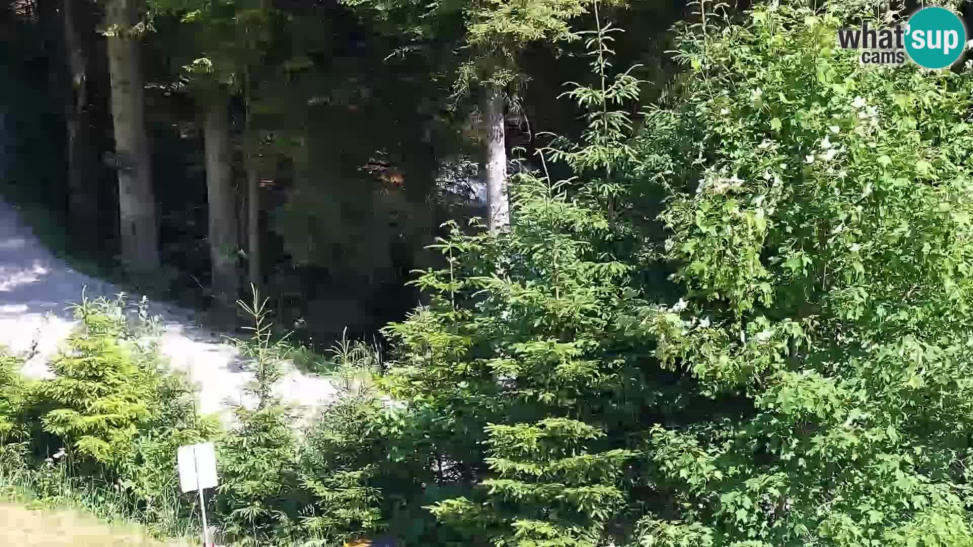 Camera en vivo Rogla appartamentos Dandi – Jurgovo