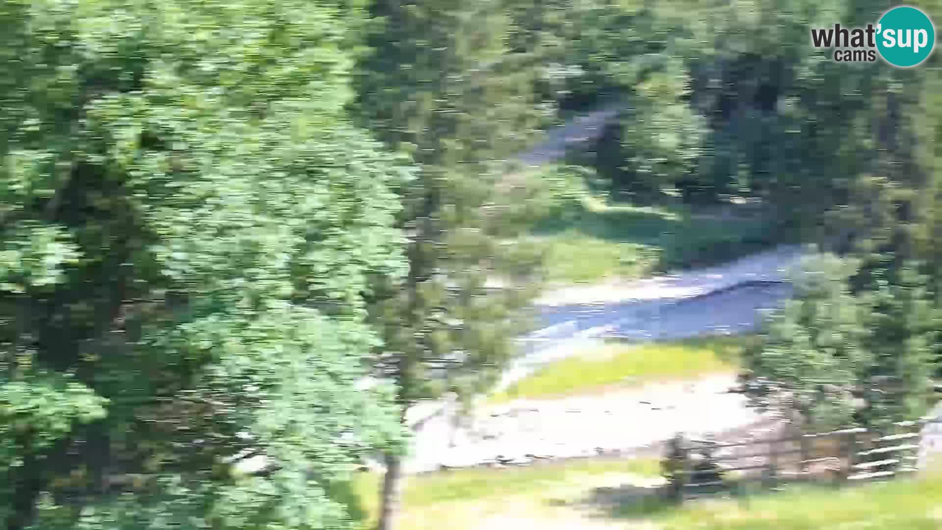 Live webcam Rogla appartamenti Dandi – Jurgovo