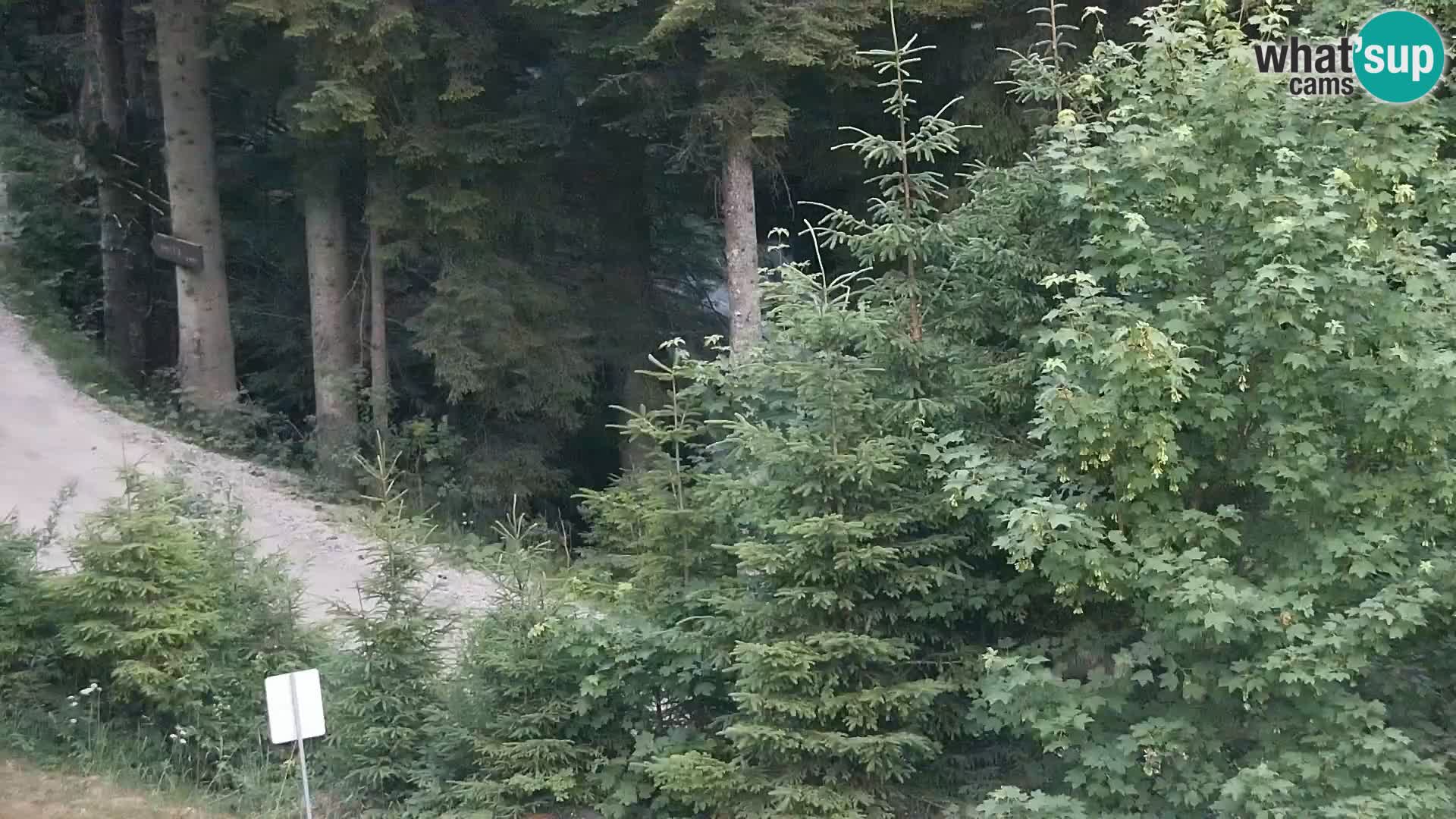 Webcam Rogla Wohnungen Dandi – Jurgovo