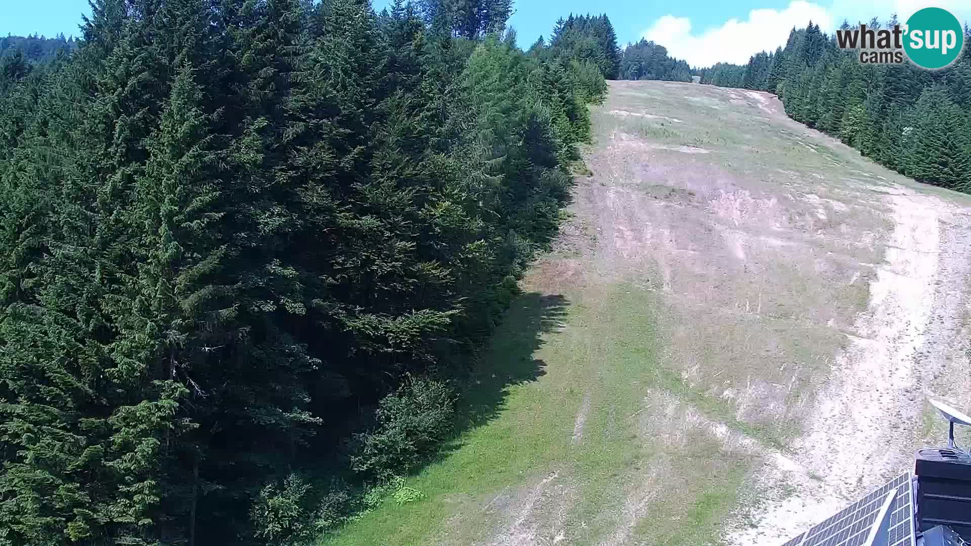 Camera en vivo Rogla appartamentos Dandi – Jurgovo
