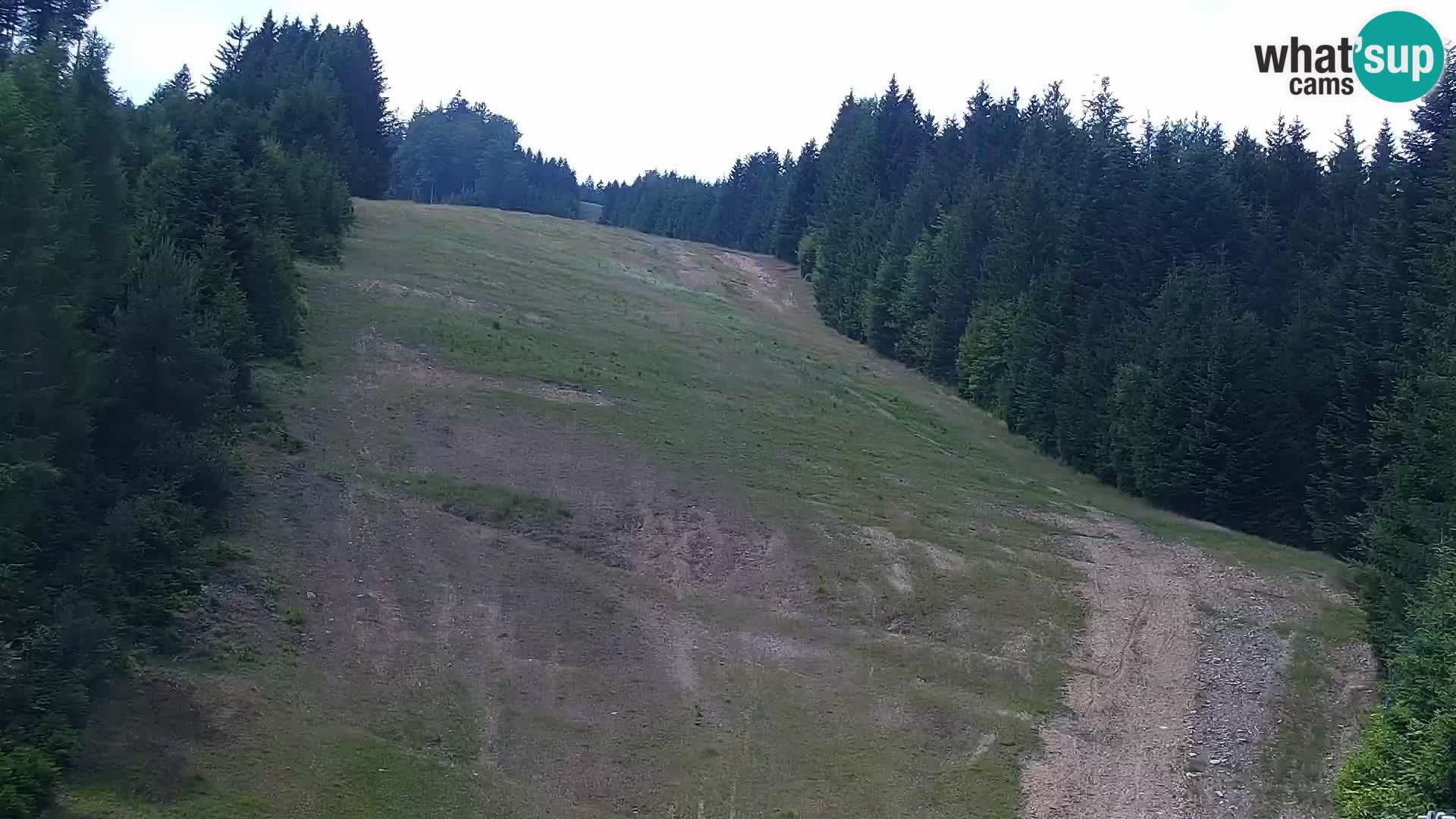 Web kamera Rogla apartmani Dandi – Jurgovo