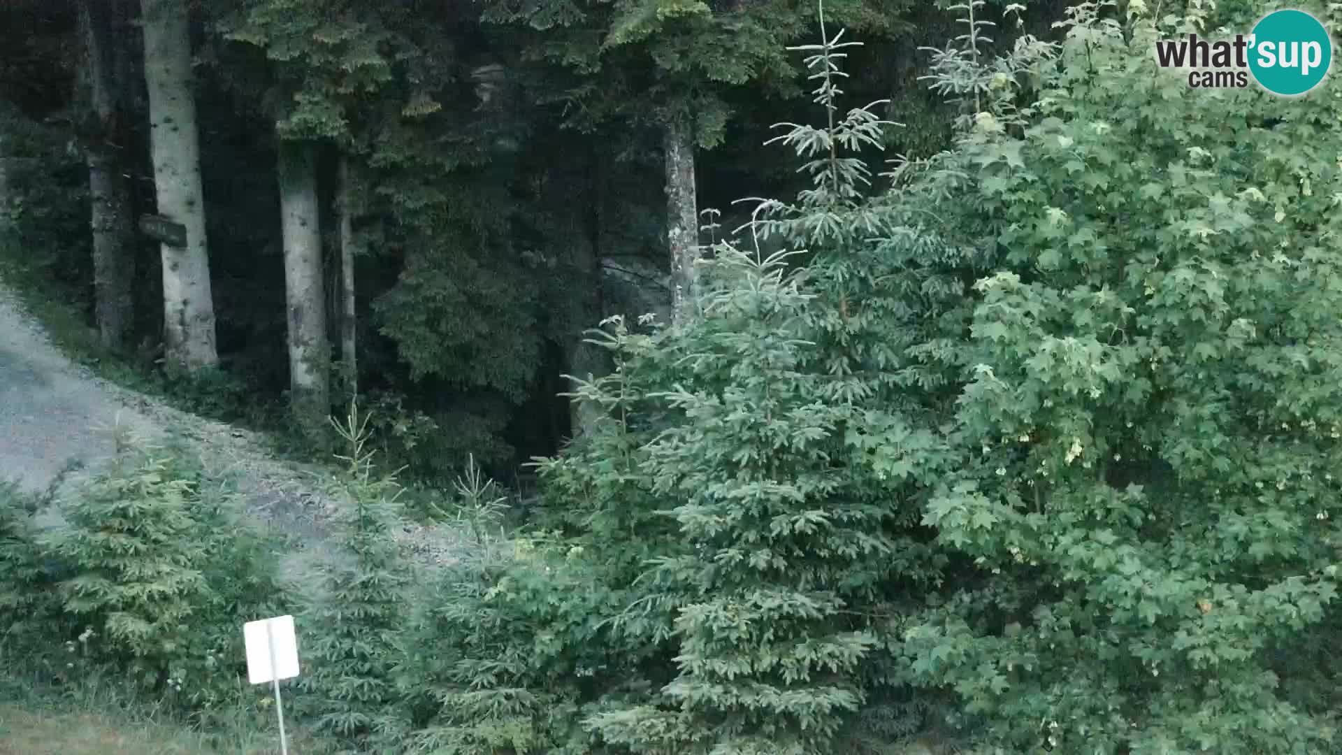 Webcam Rogla Wohnungen Dandi – Jurgovo