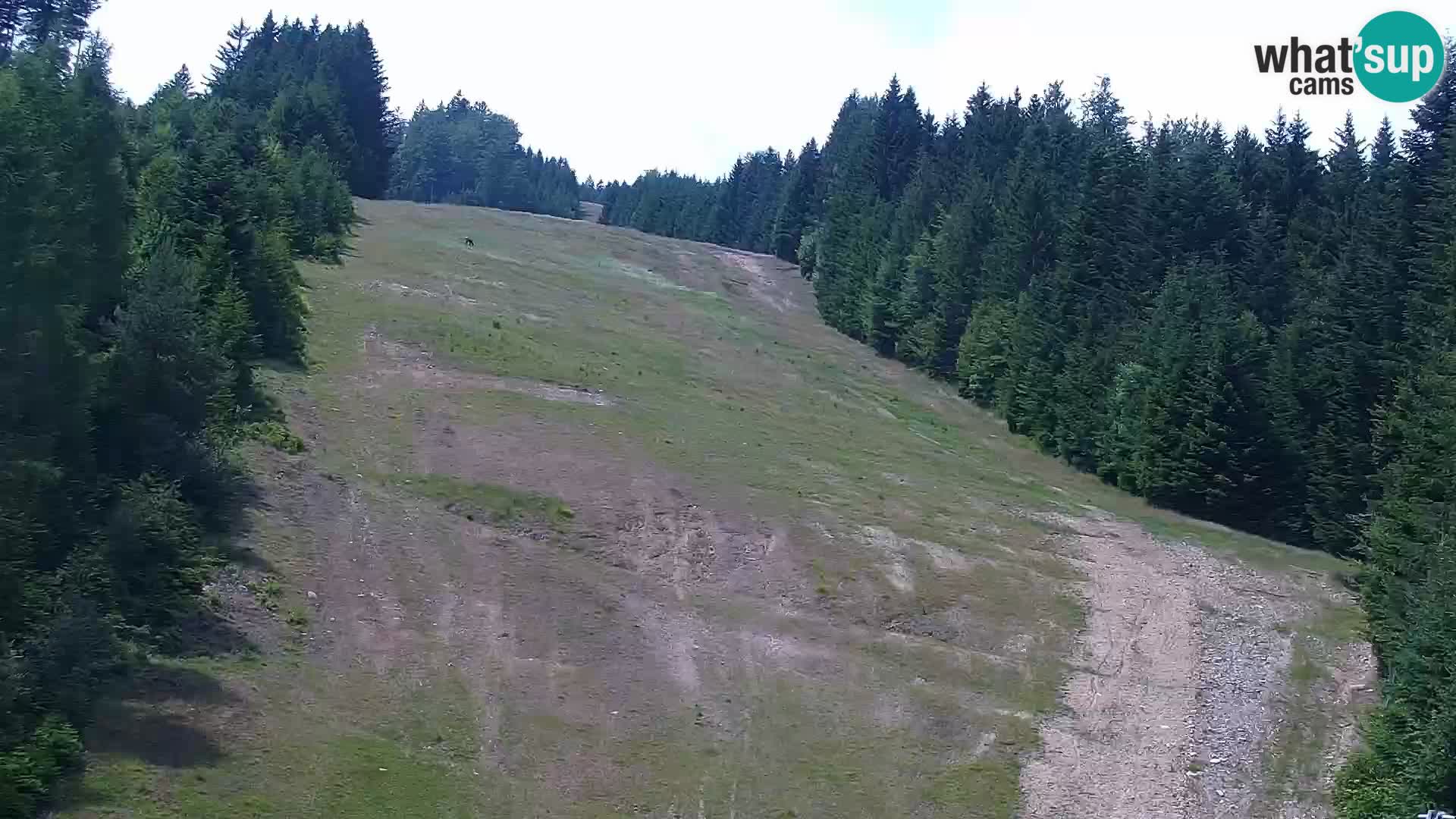 Webcam Rogla Wohnungen Dandi – Jurgovo