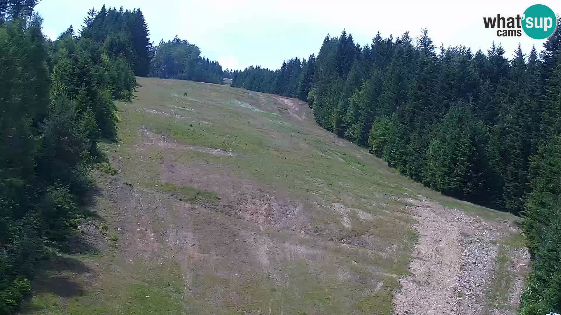 Camera en vivo Rogla appartamentos Dandi – Jurgovo