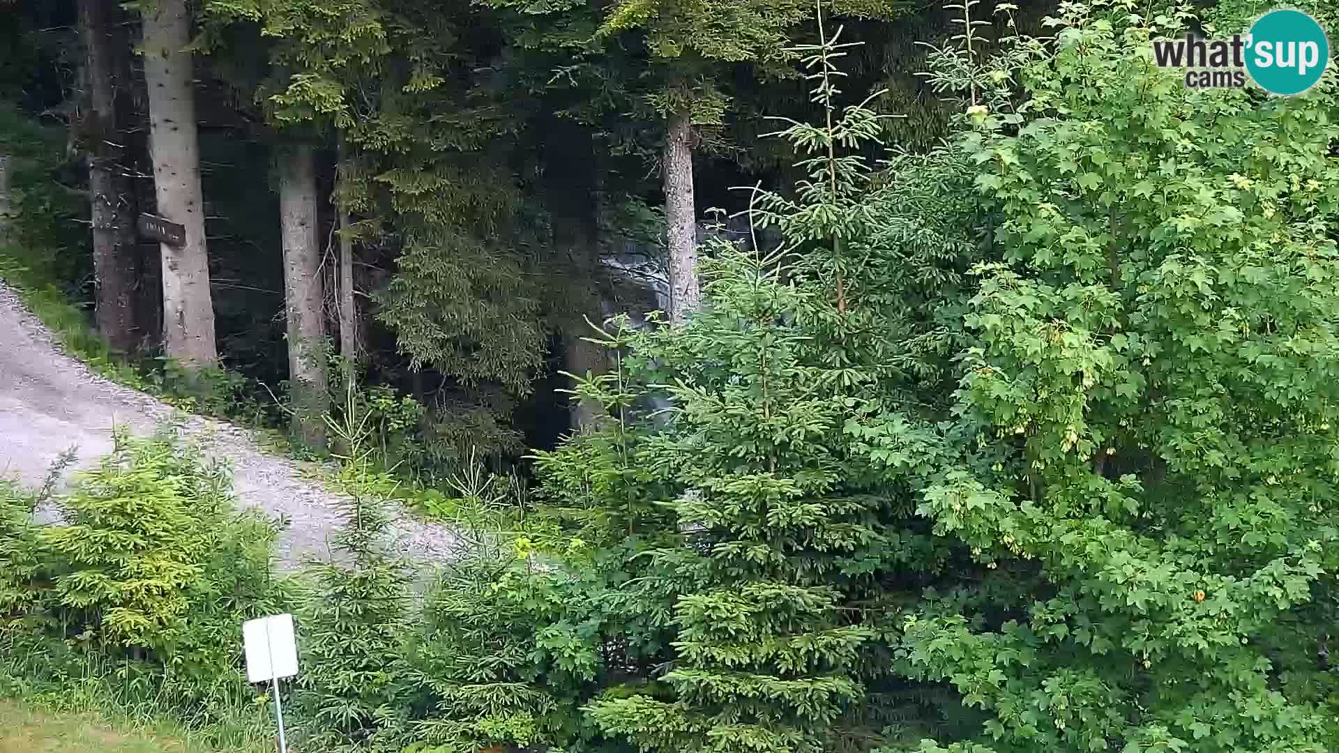 Camera en vivo Rogla appartamentos Dandi – Jurgovo