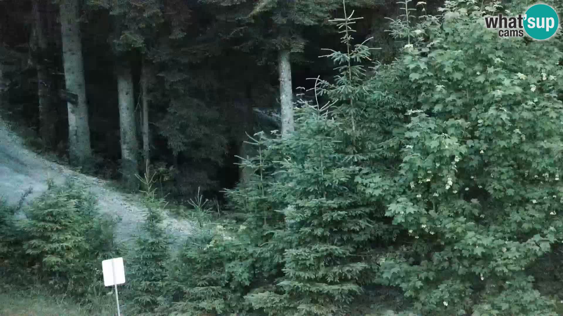 Live webcam Rogla appartamenti Dandi – Jurgovo