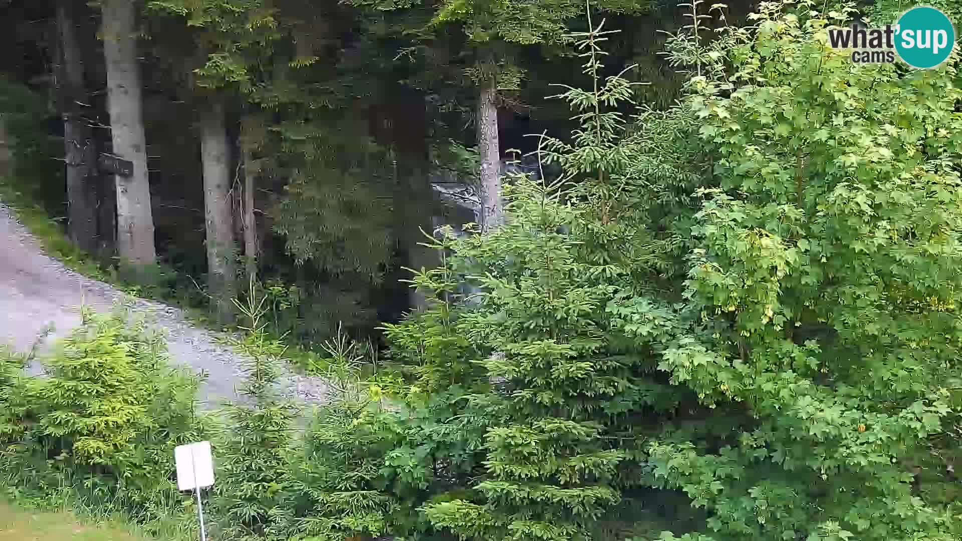 Camera en vivo Rogla appartamentos Dandi – Jurgovo