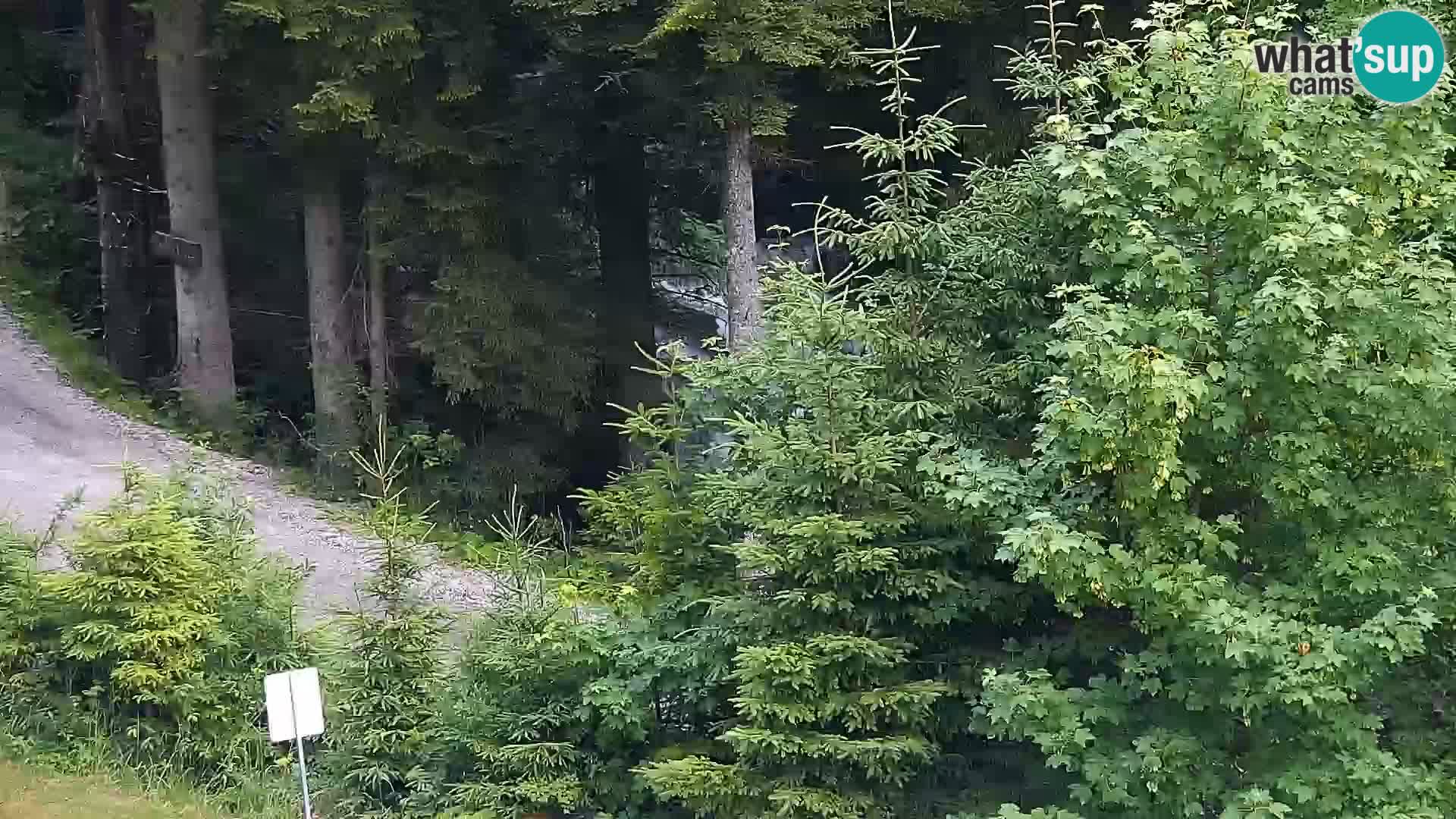 Live webcam Rogla appartamenti Dandi – Jurgovo