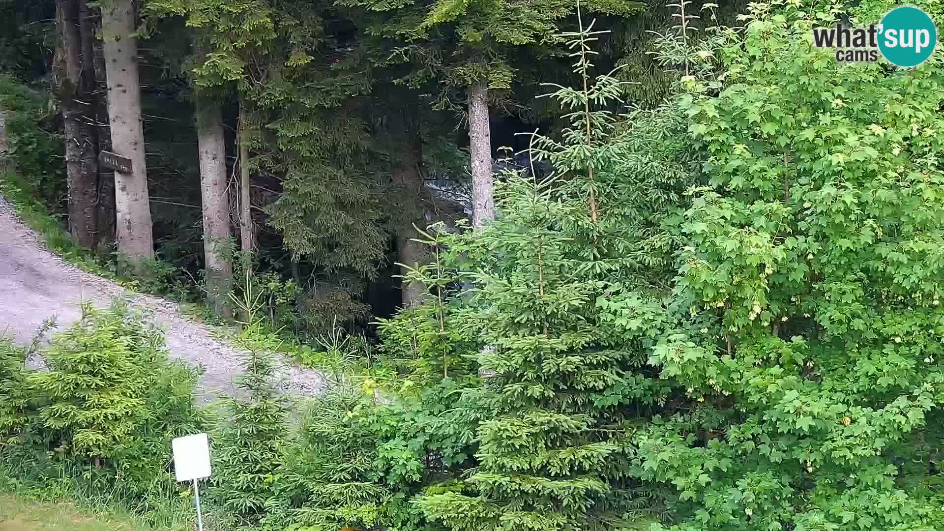 Camera en vivo Rogla appartamentos Dandi – Jurgovo