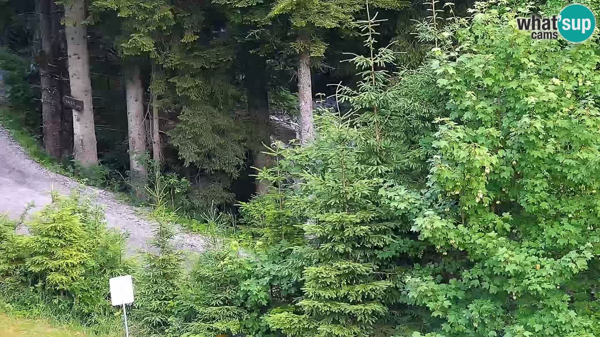Spletna kamera Rogla apartmaji Dandi – Jurgovo