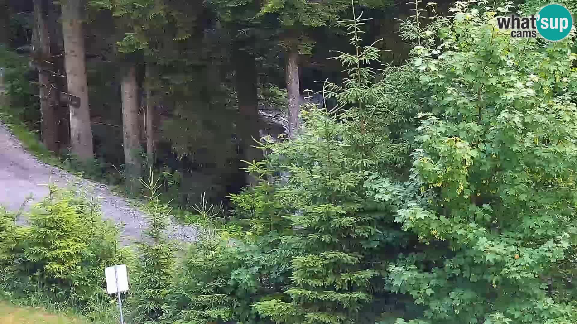 Livecam Rogla apartments Dandi – Jurgovo