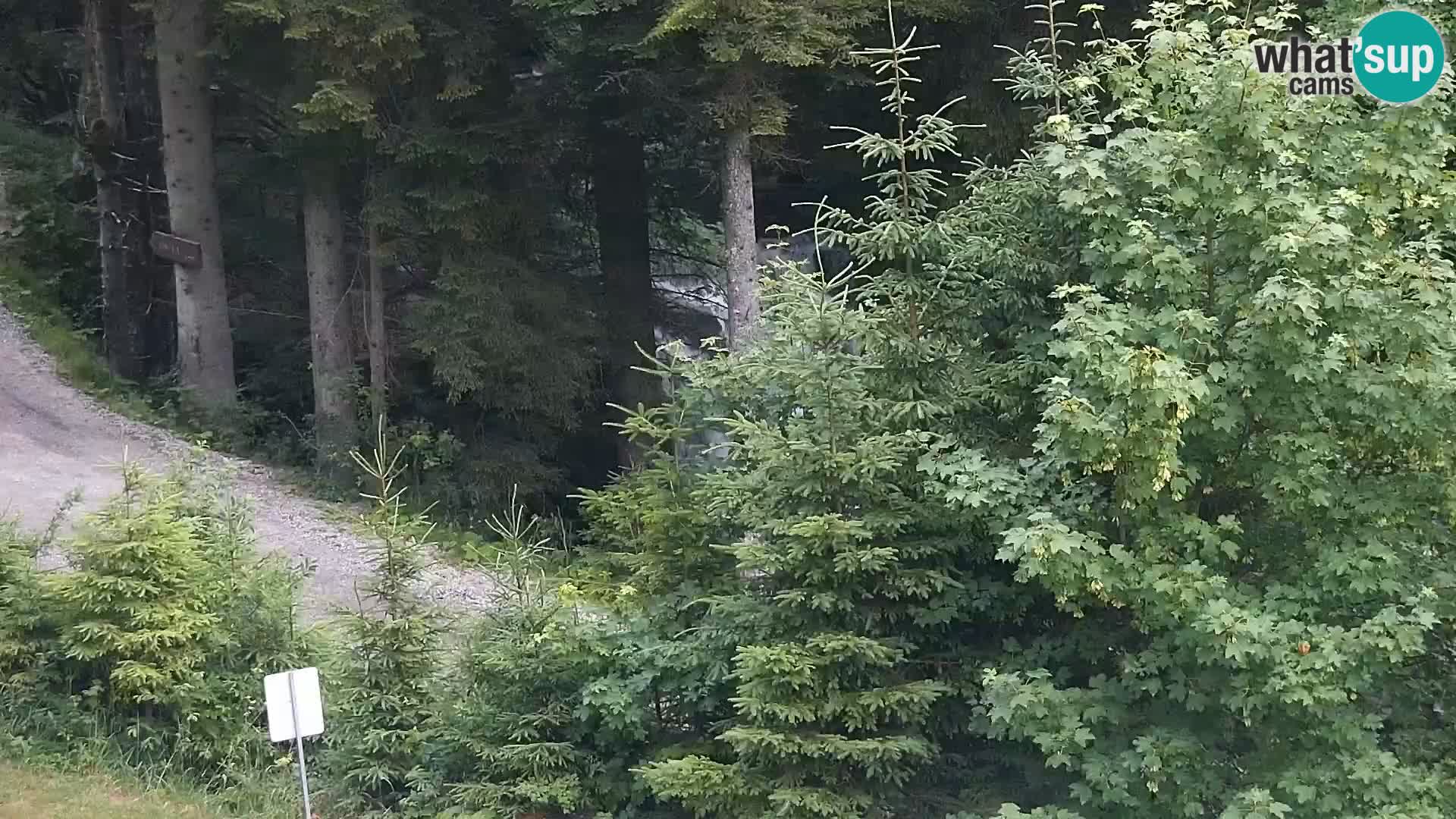 Livecam Rogla apartments Dandi – Jurgovo