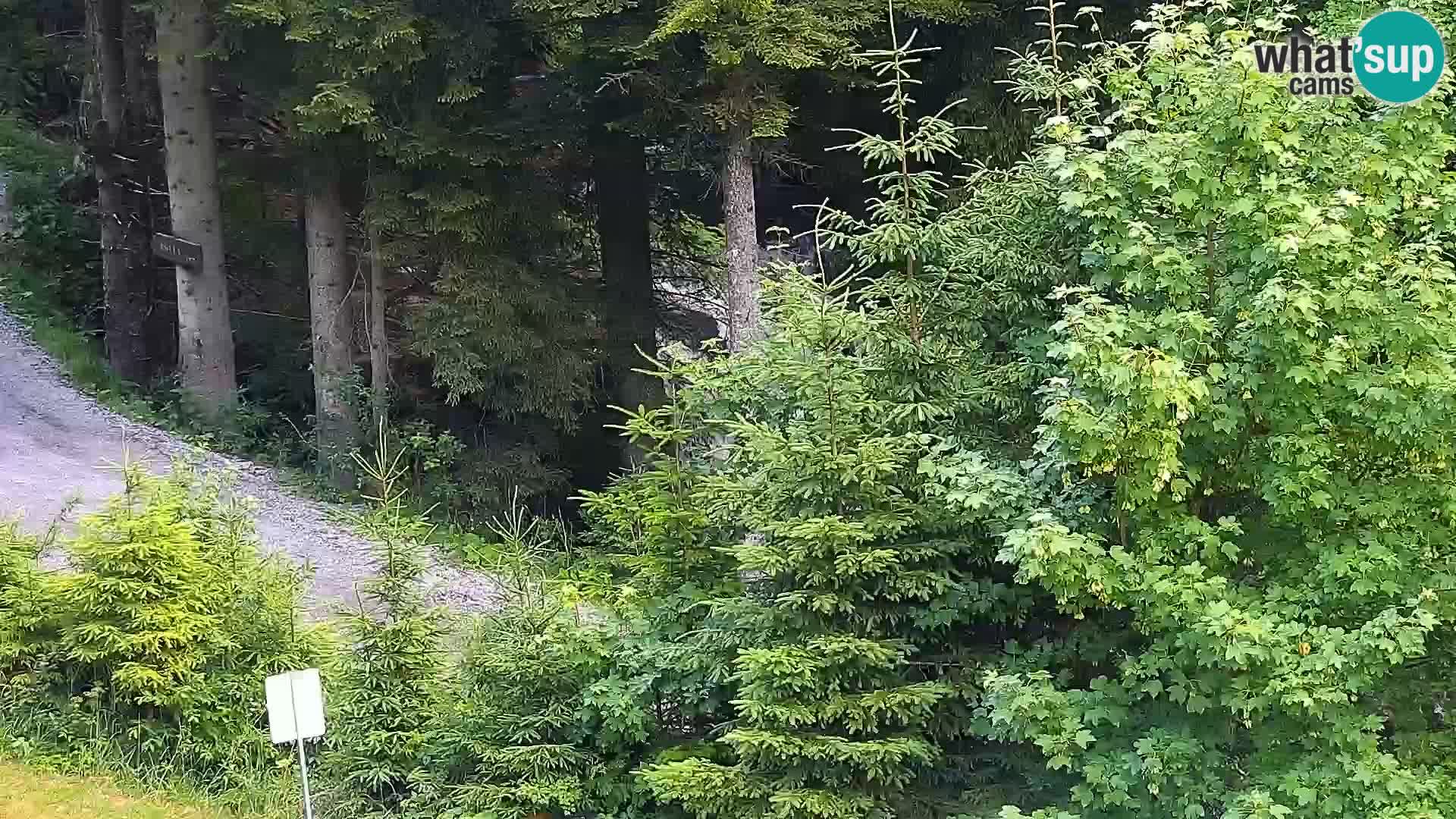 Webcam Rogla Wohnungen Dandi – Jurgovo