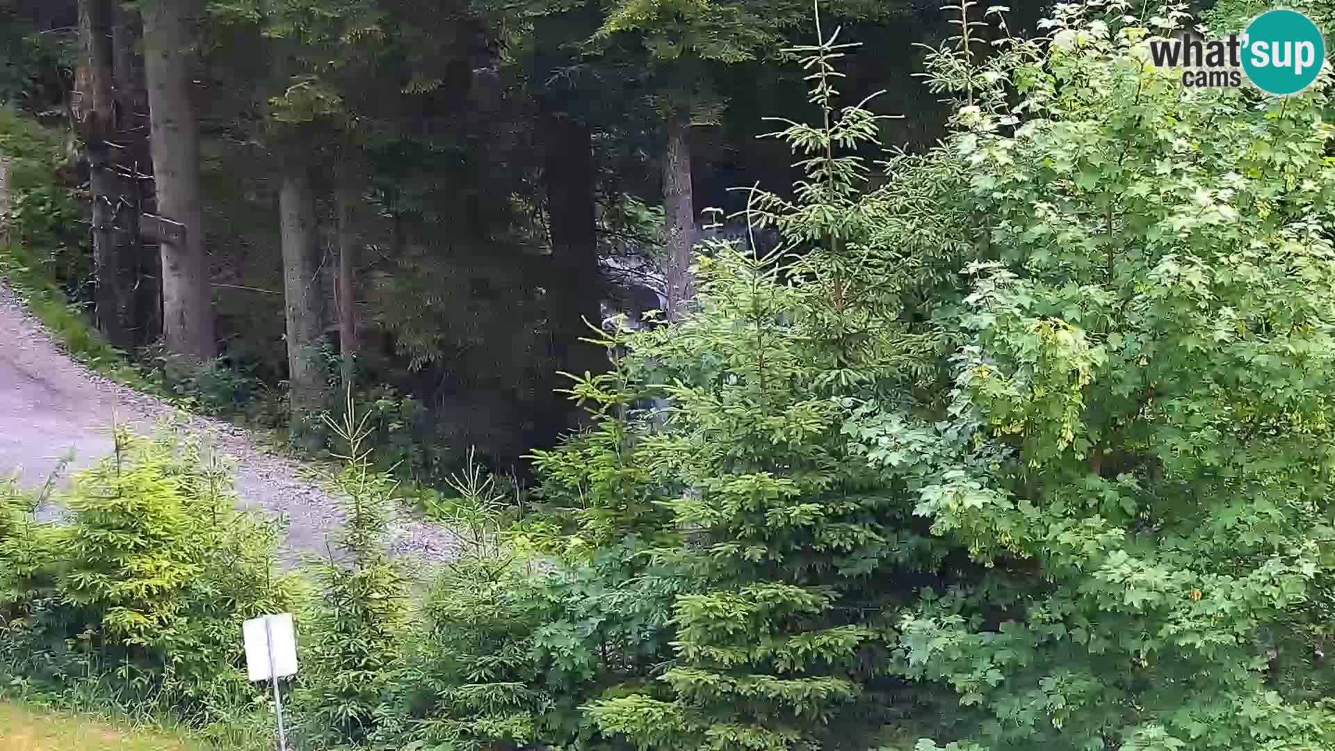 Webcam Rogla Wohnungen Dandi – Jurgovo