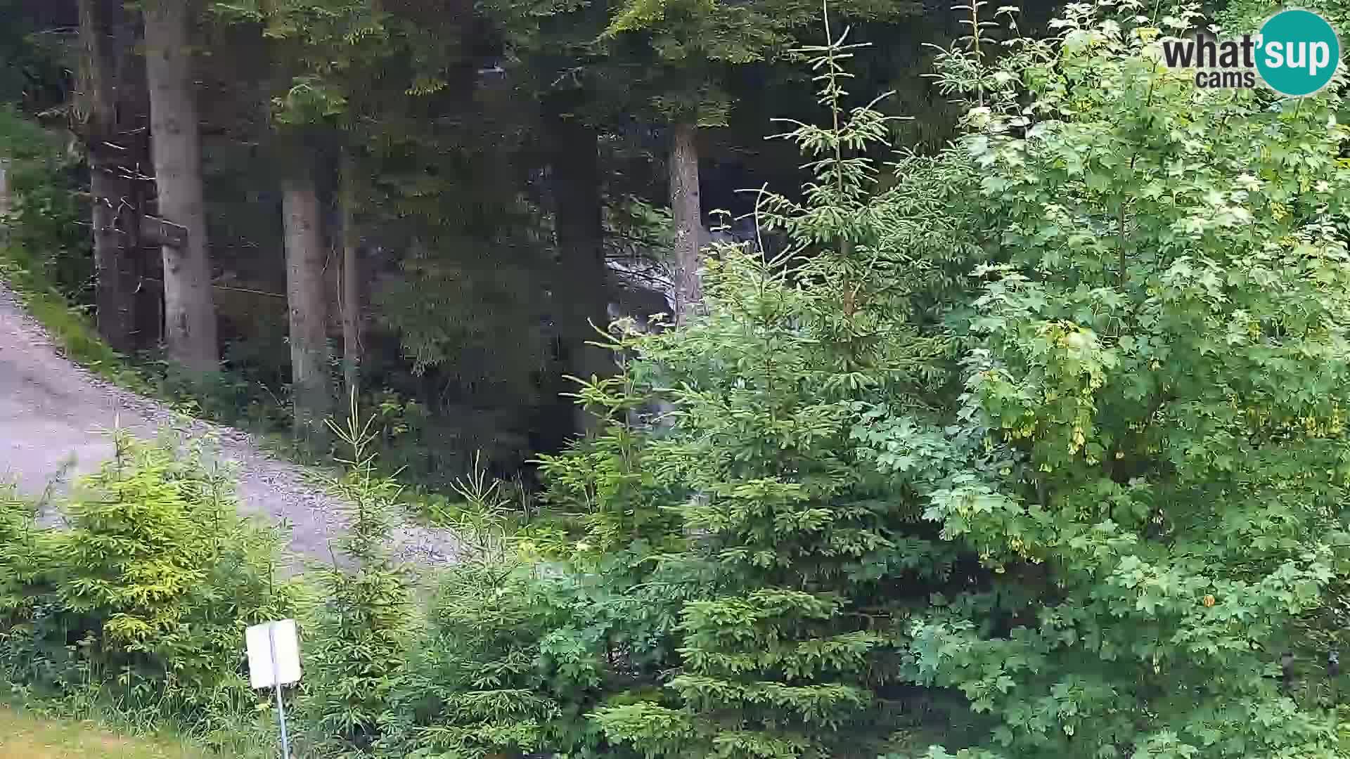 Webcam Rogla Wohnungen Dandi – Jurgovo