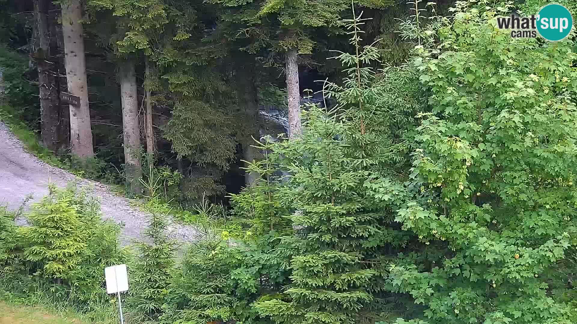 Livecam Rogla apartments Dandi – Jurgovo
