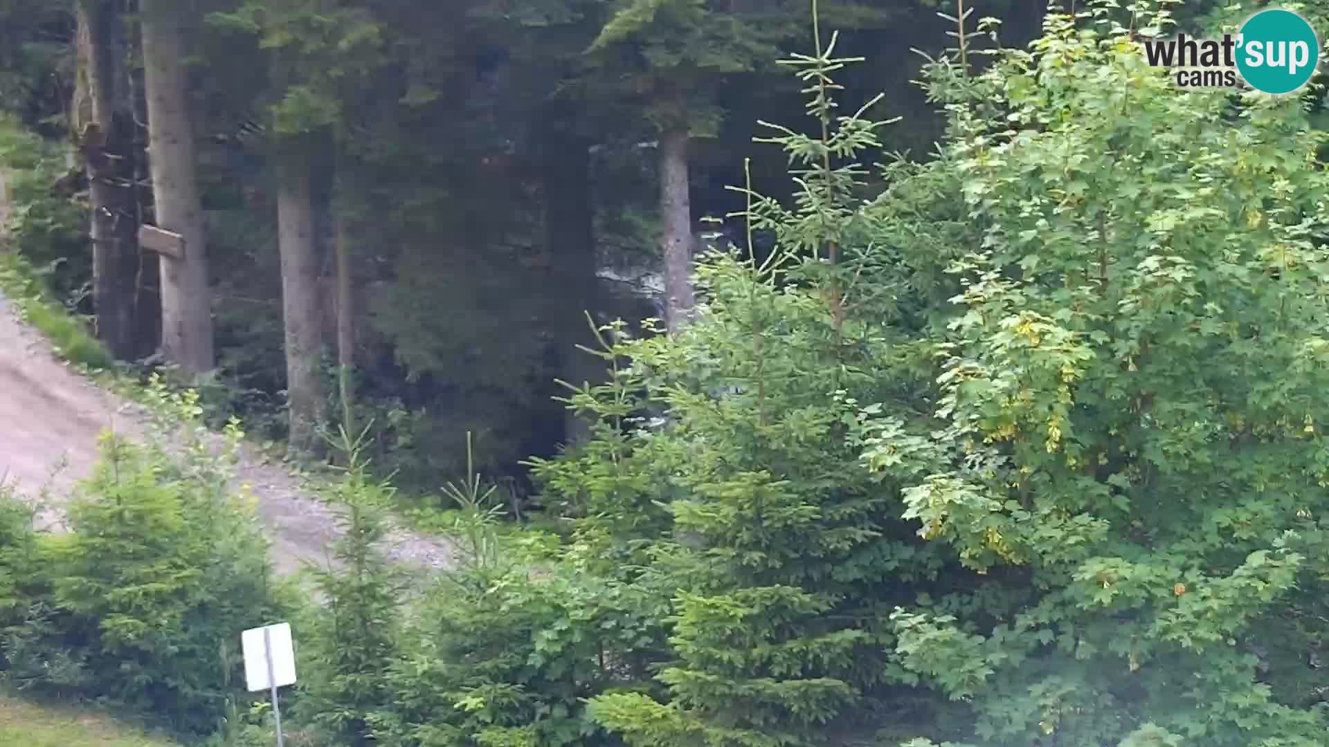 Camera en vivo Rogla appartamentos Dandi – Jurgovo