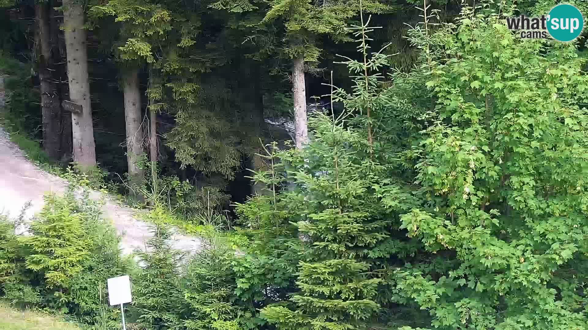 Camera en vivo Rogla appartamentos Dandi – Jurgovo
