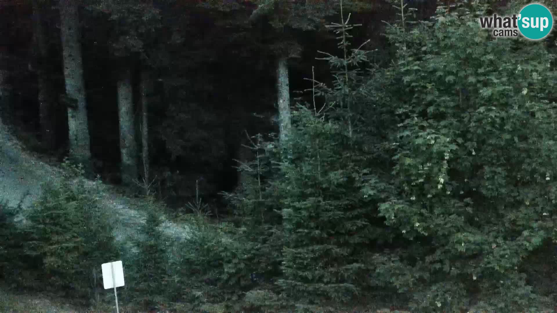 Livecam Rogla apartments Dandi – Jurgovo