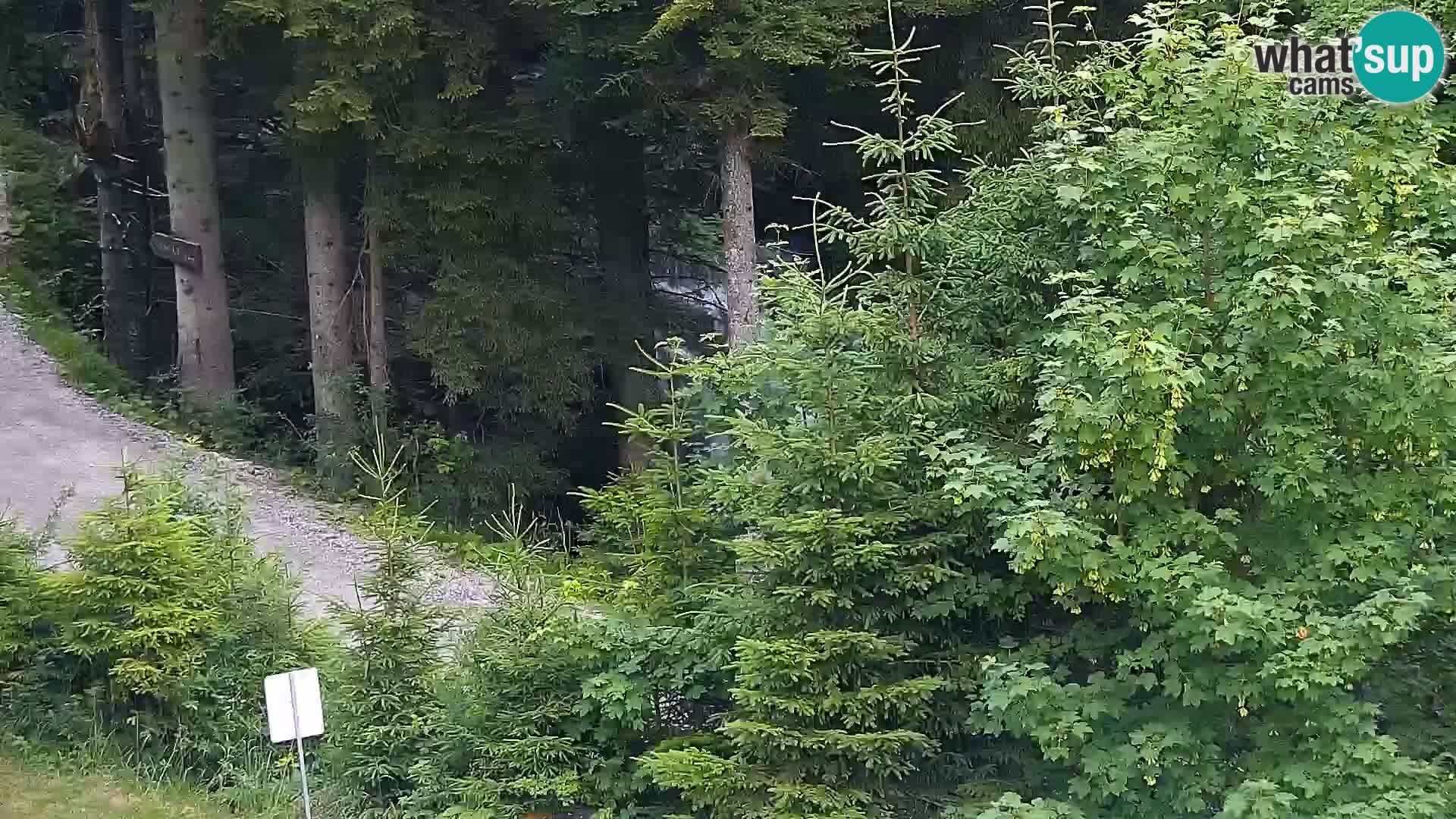 Livecam Rogla apartments Dandi – Jurgovo