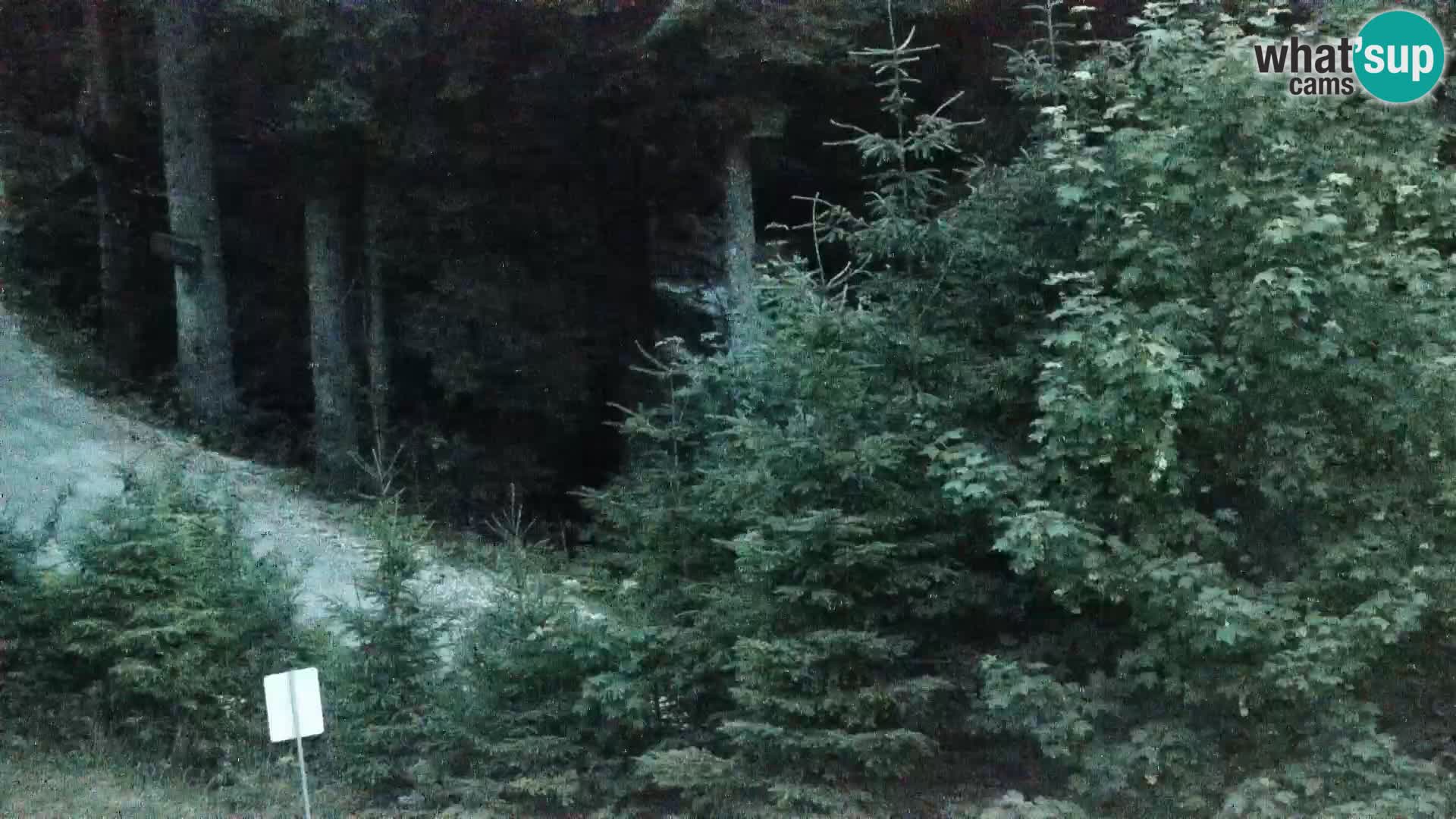 Spletna kamera Rogla apartmaji Dandi – Jurgovo