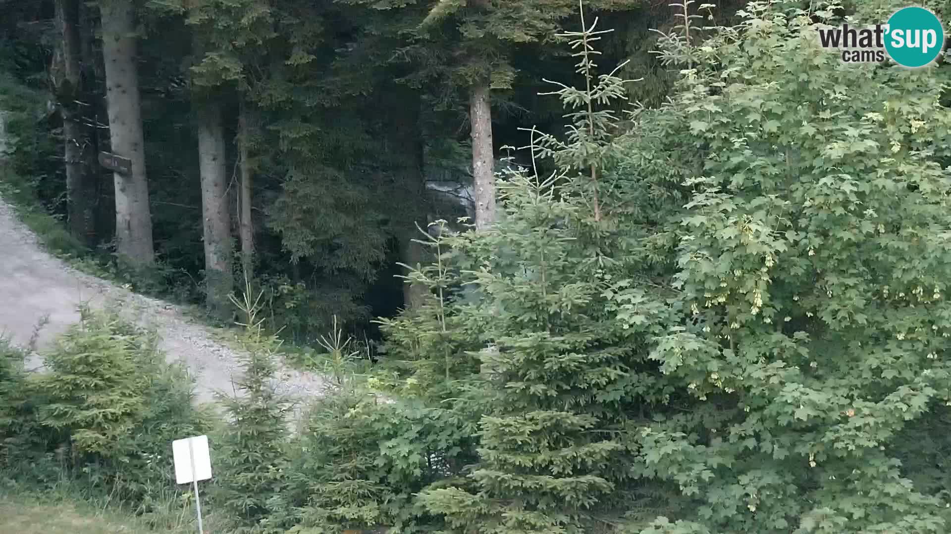Live webcam Rogla appartamenti Dandi – Jurgovo