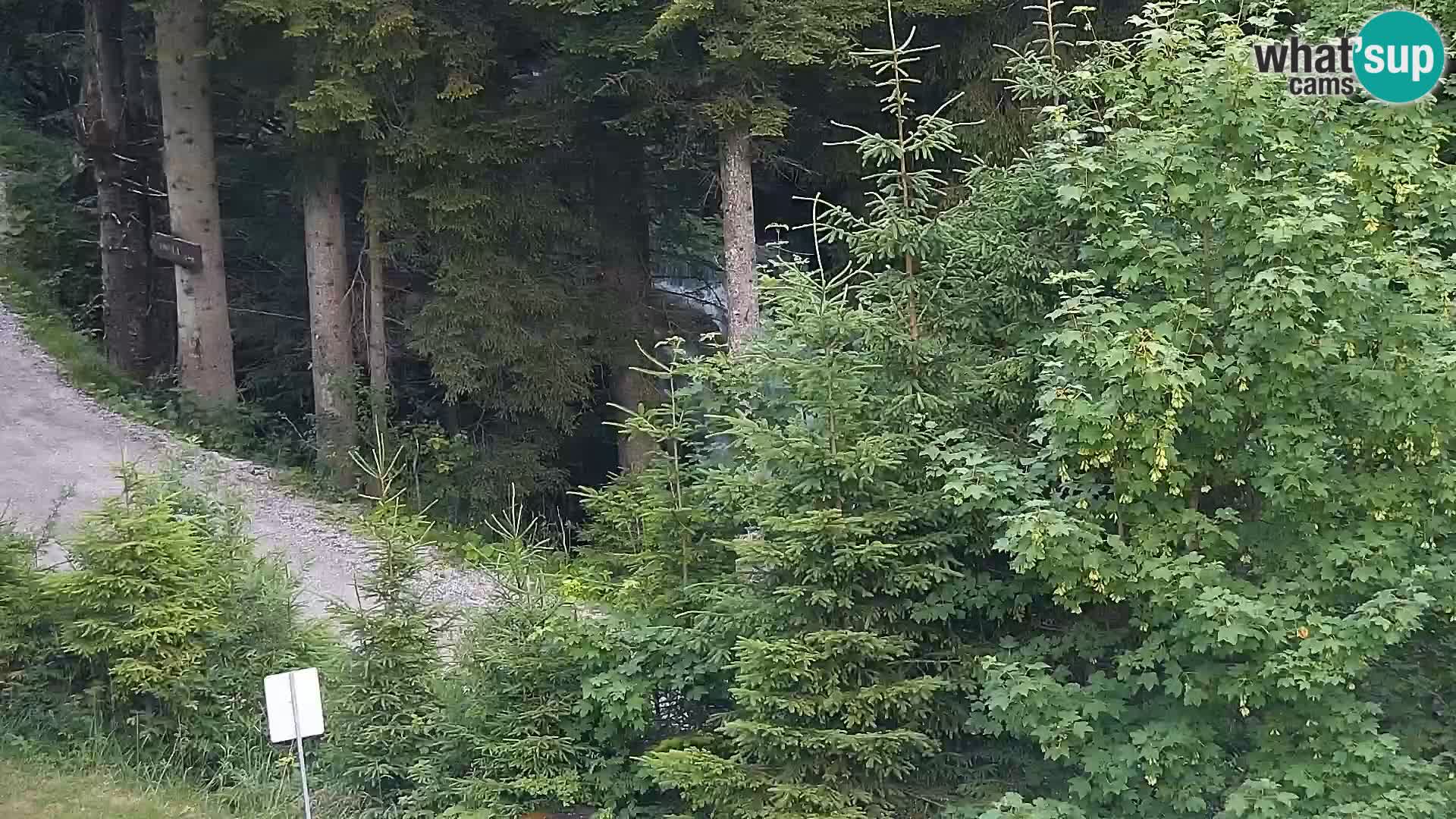 Livecam Rogla apartments Dandi – Jurgovo