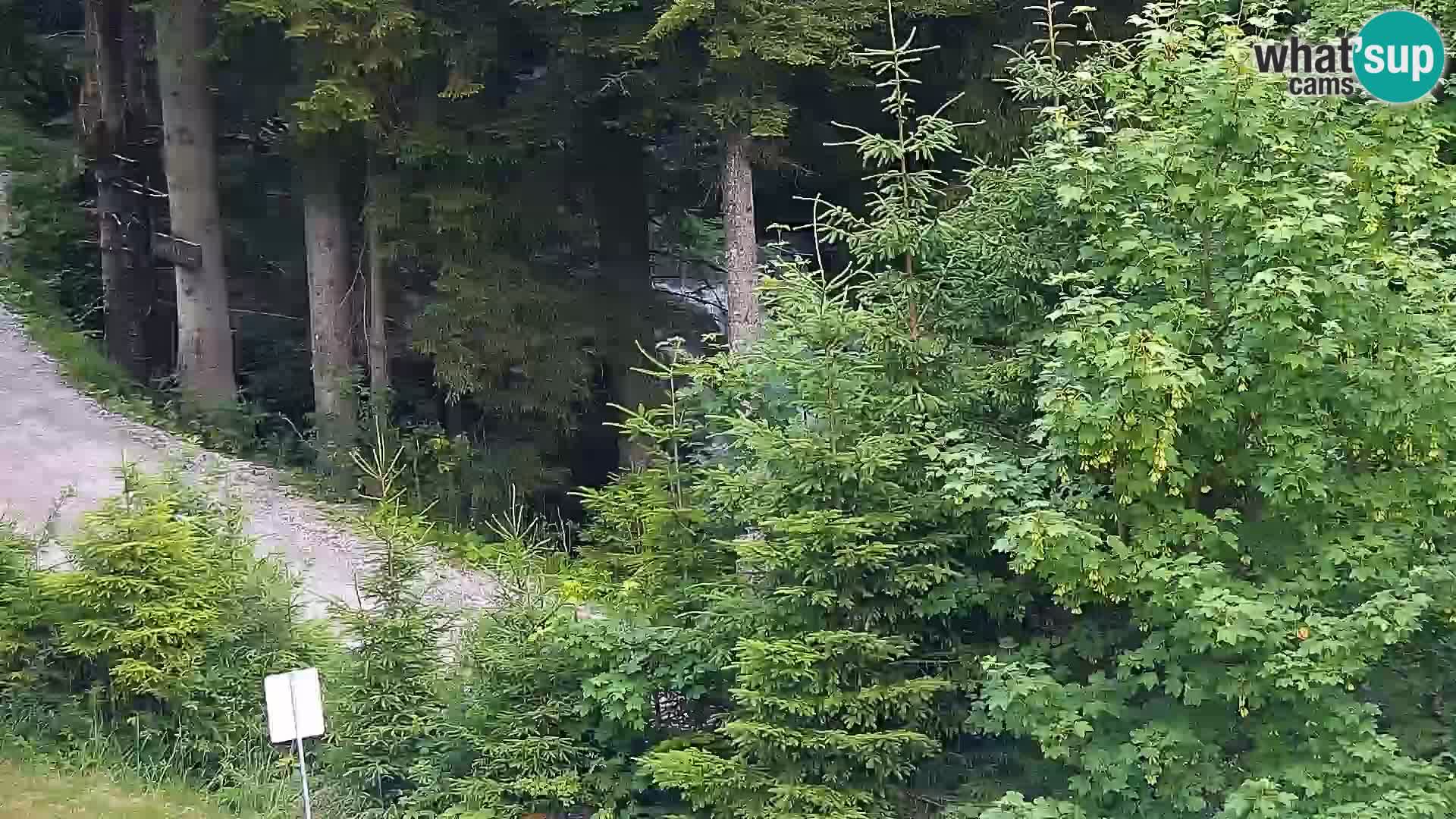 Spletna kamera Rogla apartmaji Dandi – Jurgovo