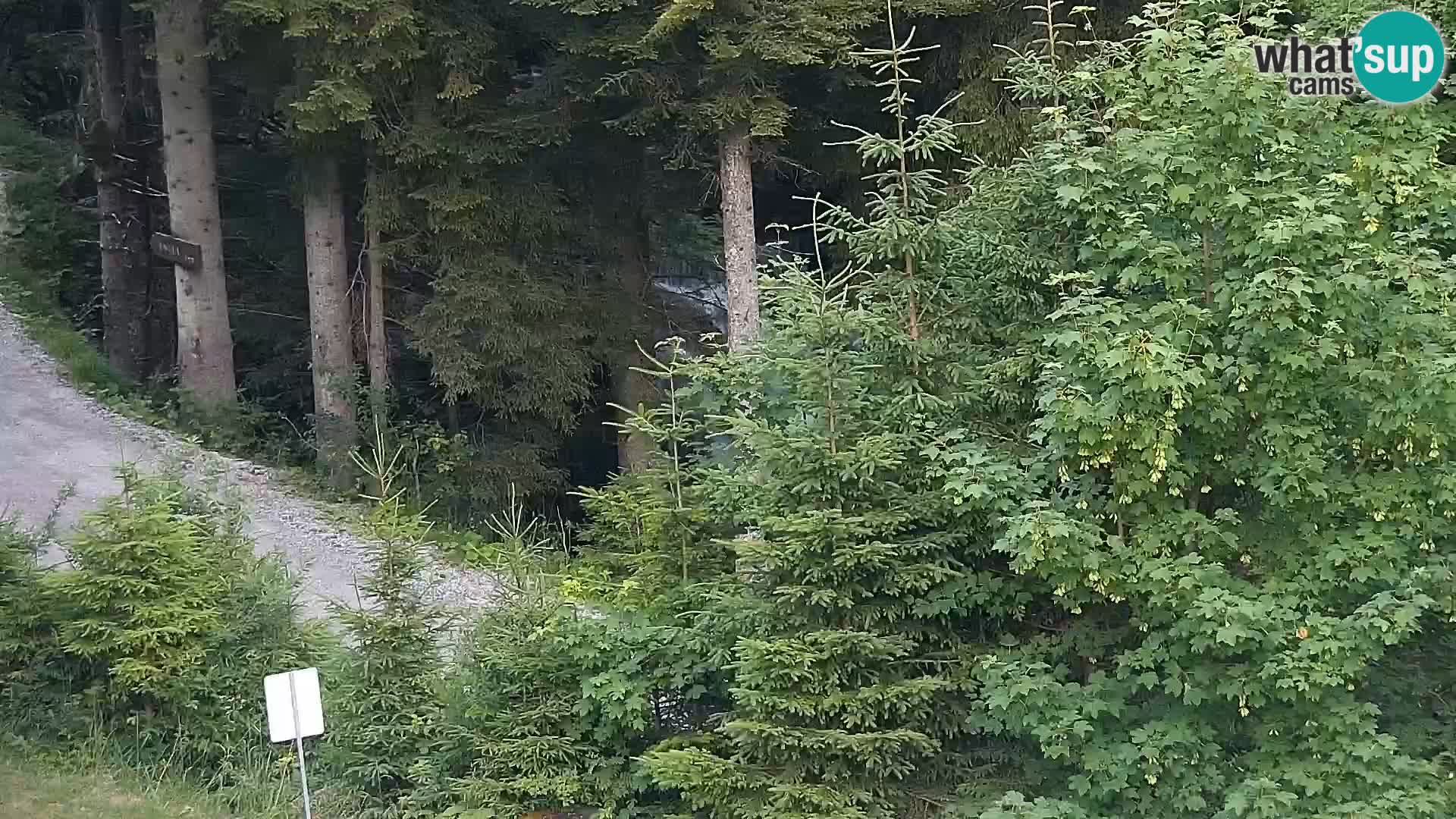 Livecam Rogla apartments Dandi – Jurgovo