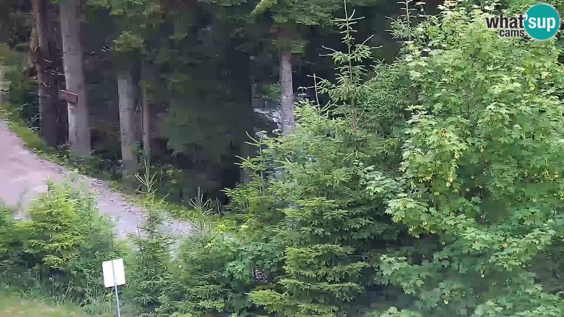 Web kamera Rogla apartmani Dandi – Jurgovo