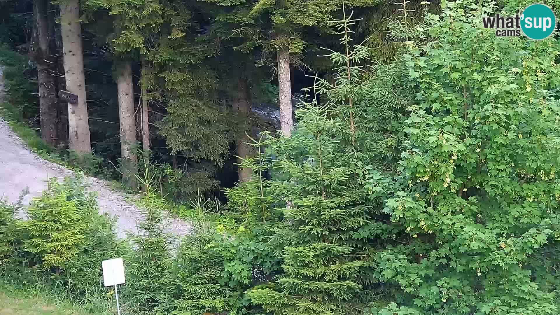 Livecam Rogla apartments Dandi – Jurgovo