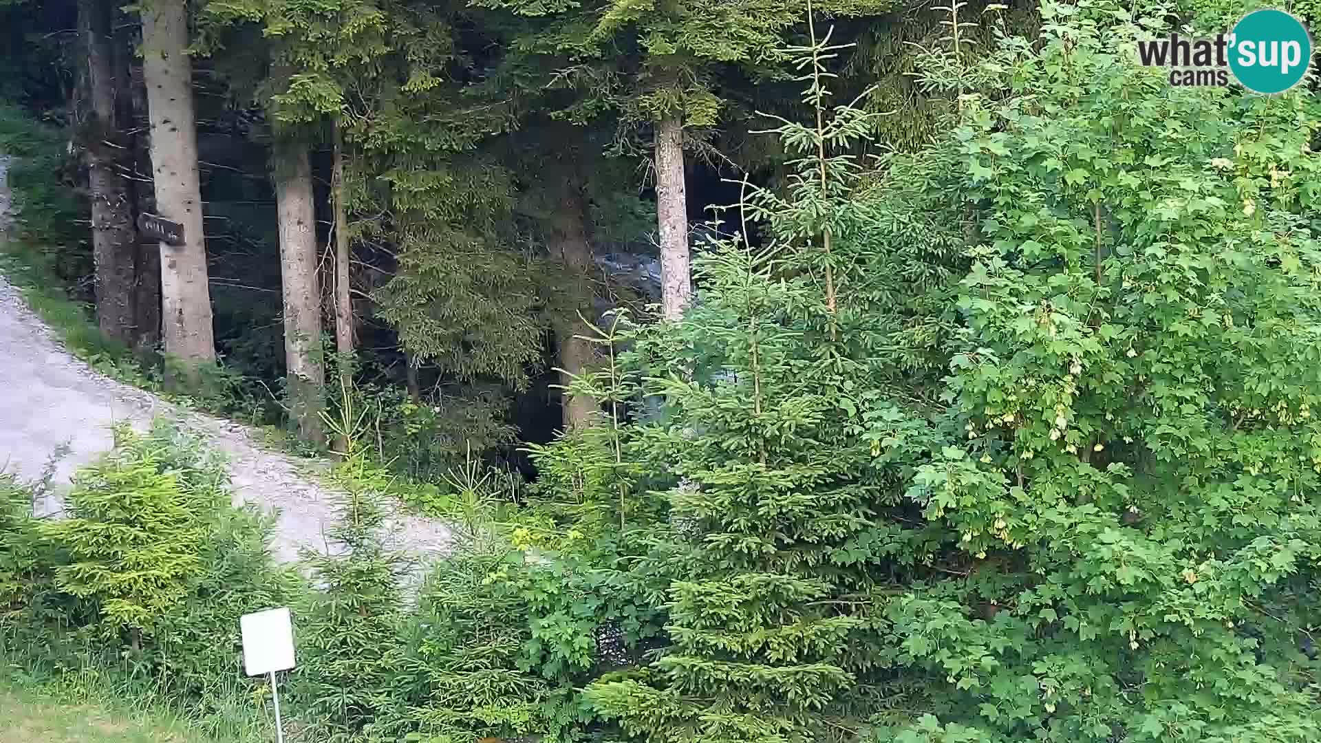Livecam Rogla apartments Dandi – Jurgovo