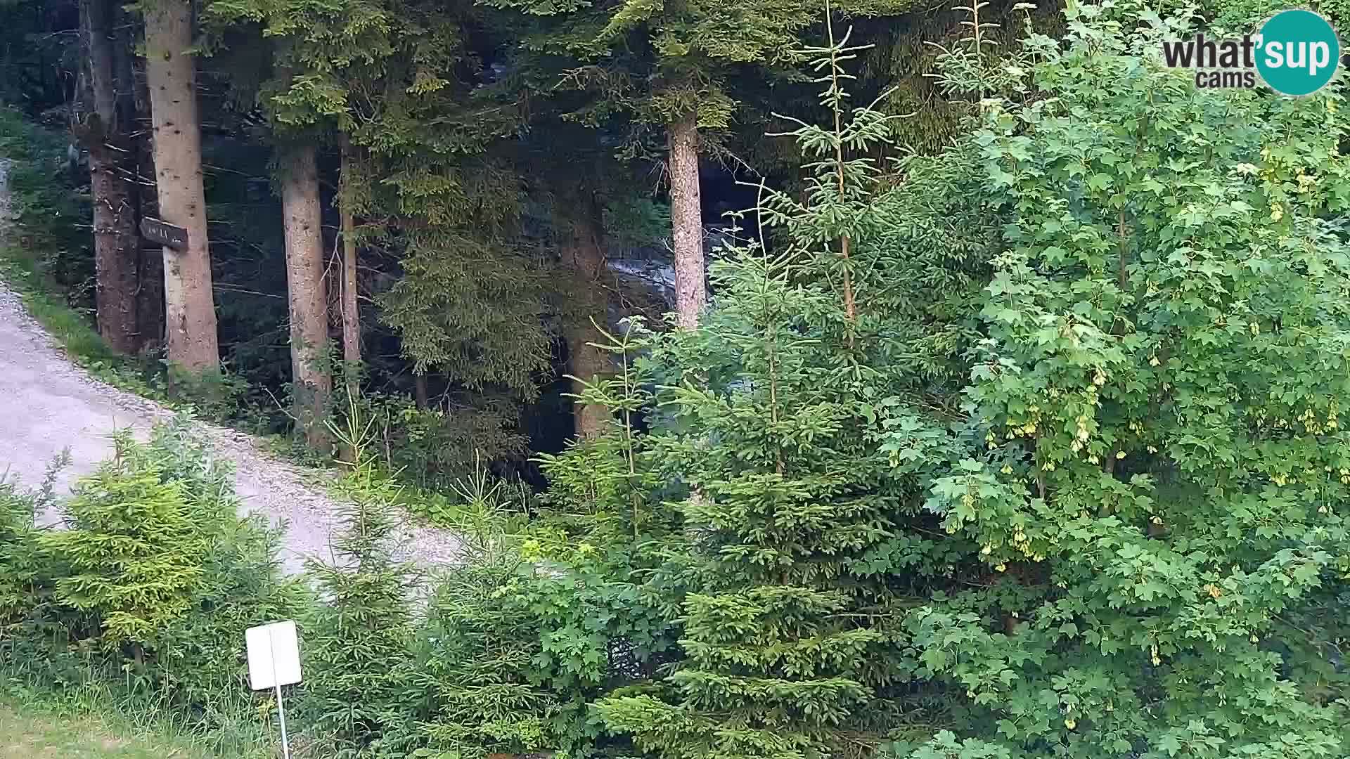 Webcam Rogla Wohnungen Dandi – Jurgovo