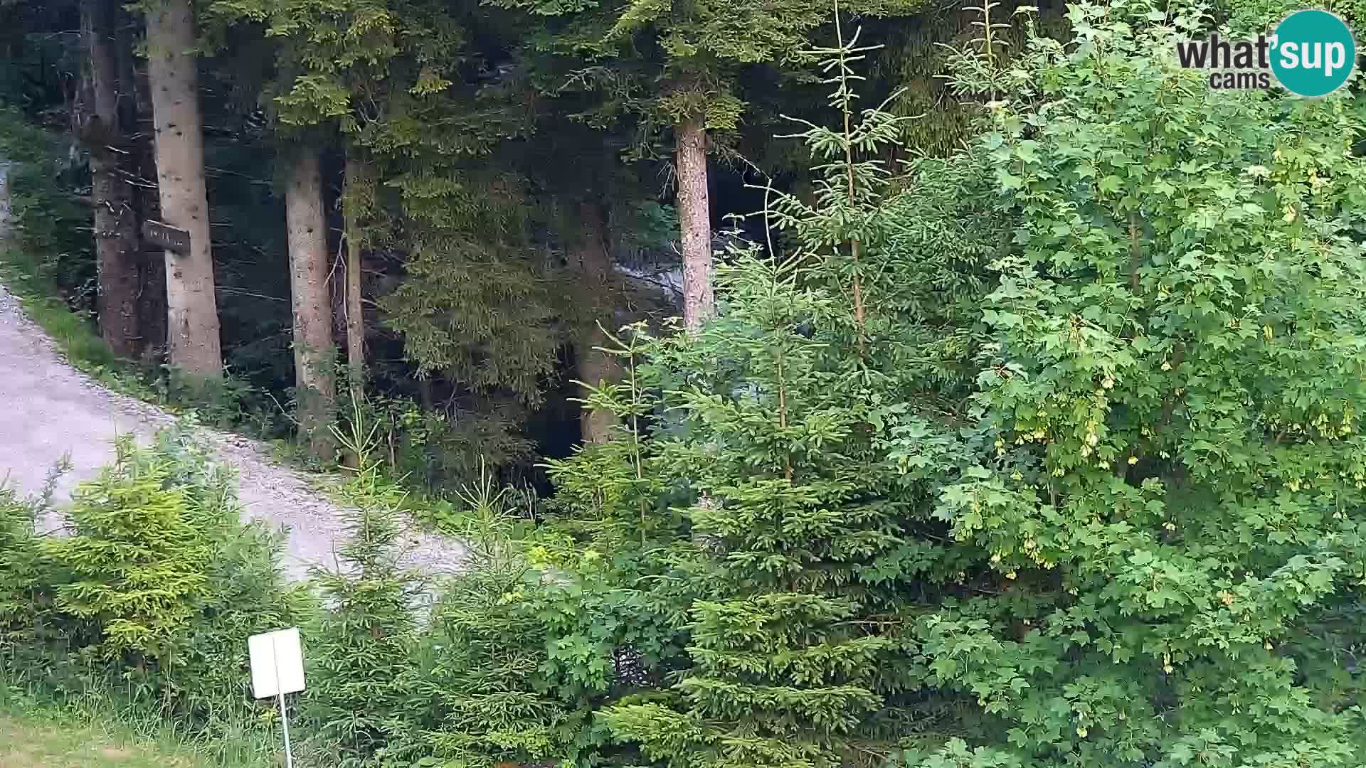 Livecam Rogla apartments Dandi – Jurgovo